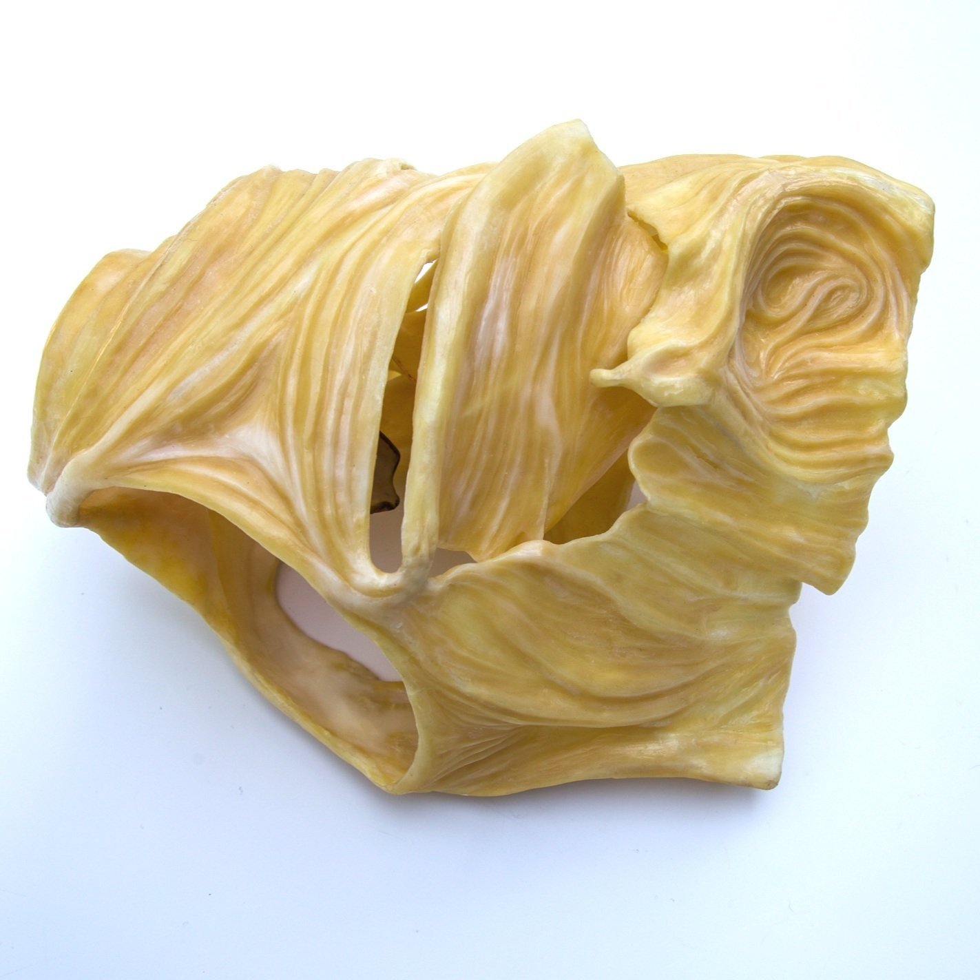 sacredincubationdetail2-29.jpg