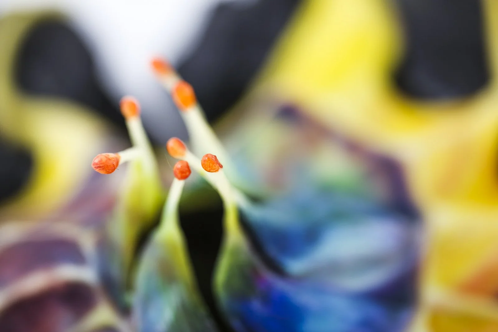 And a Week Until Close…