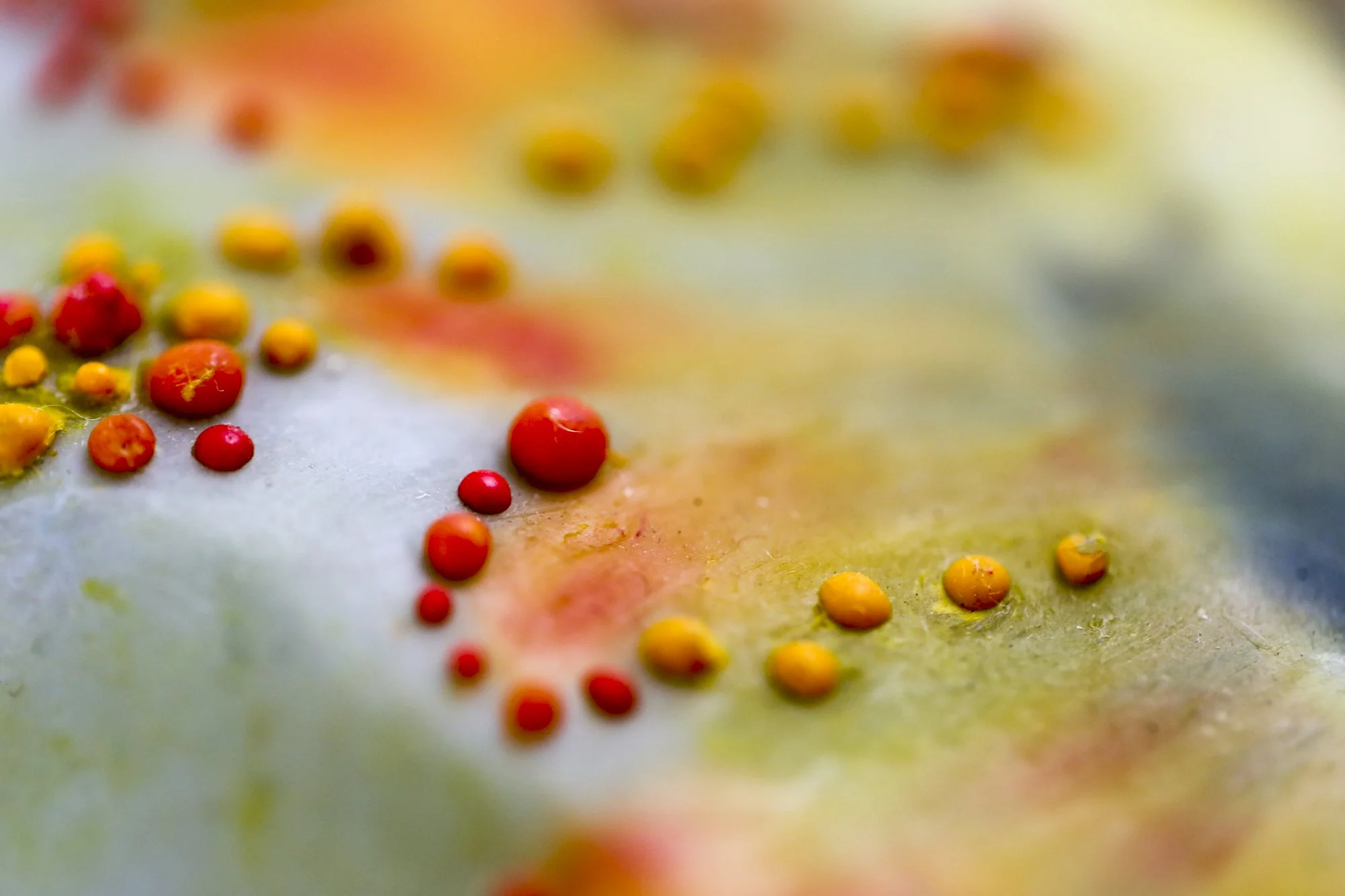 Night Out with the Arts