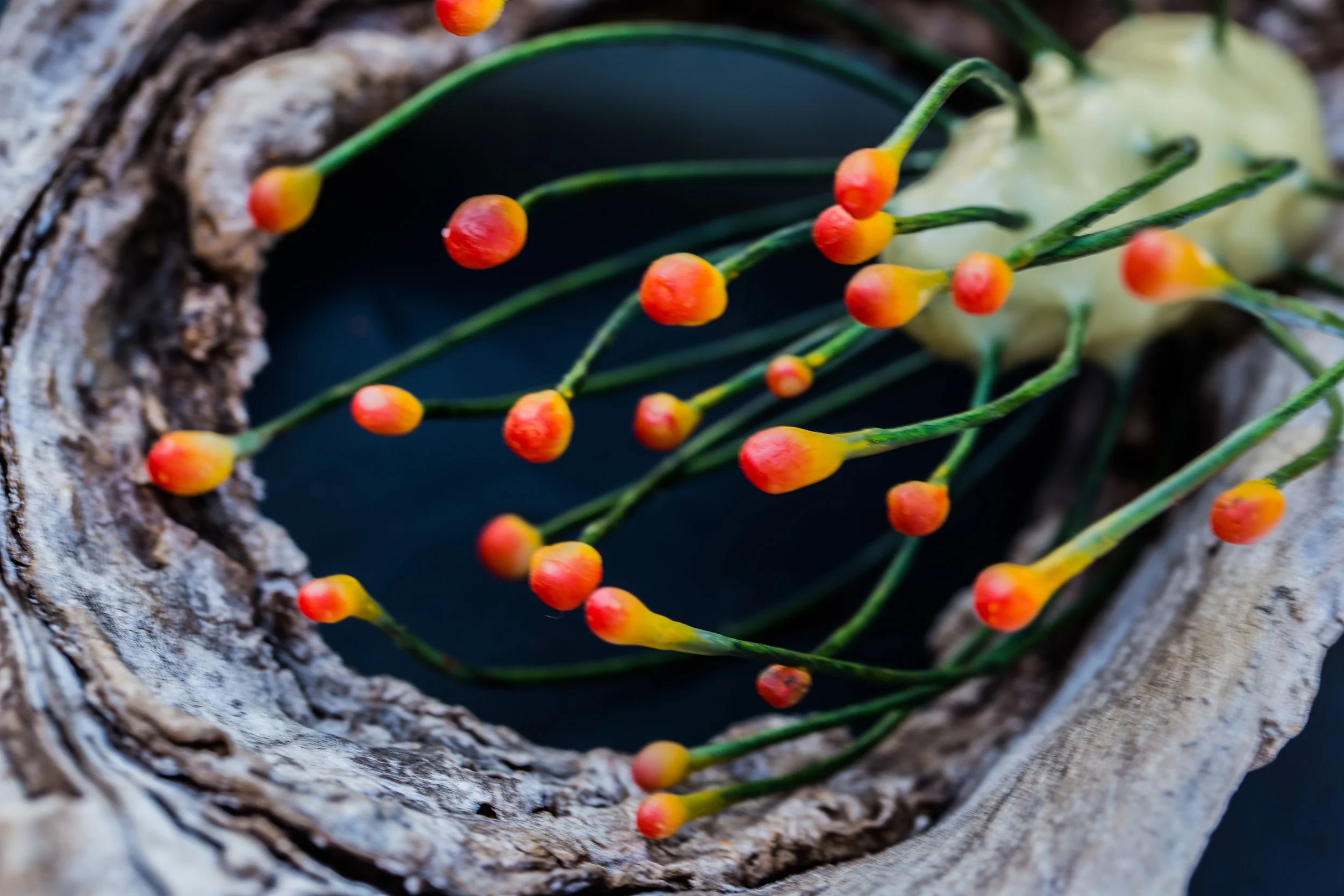 In The Spirit Of Hope