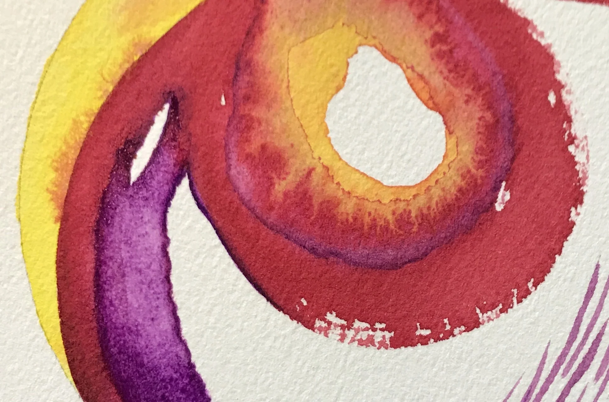 Circles of Life (May 6-12, 2018)