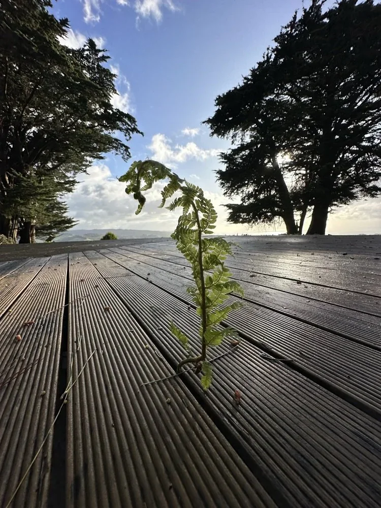 Time to Breath in a New Year