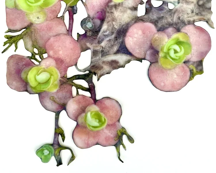 Hooray! It’s Here!