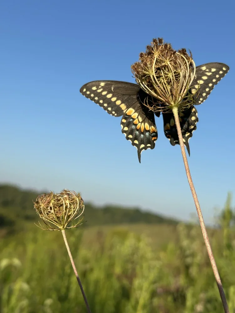 Seasons are Changing