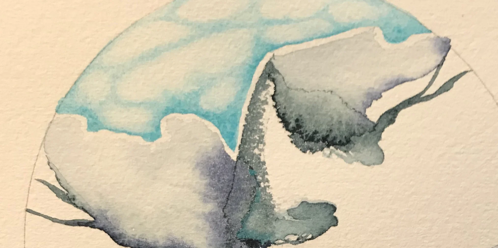 Wonder Round (Nov. 4-10, 2018)