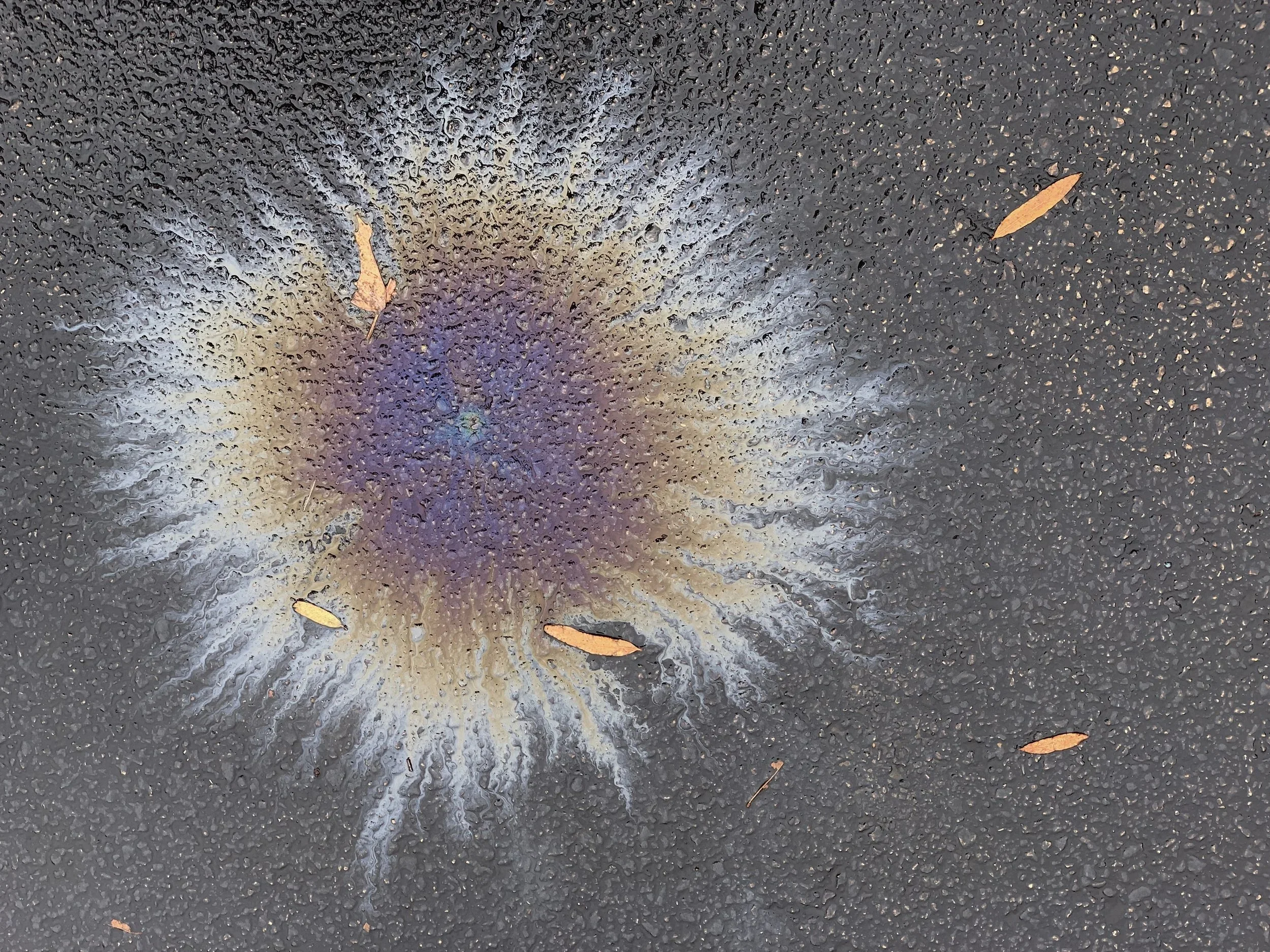 Wonder Round (November 25-December 1, 2018)