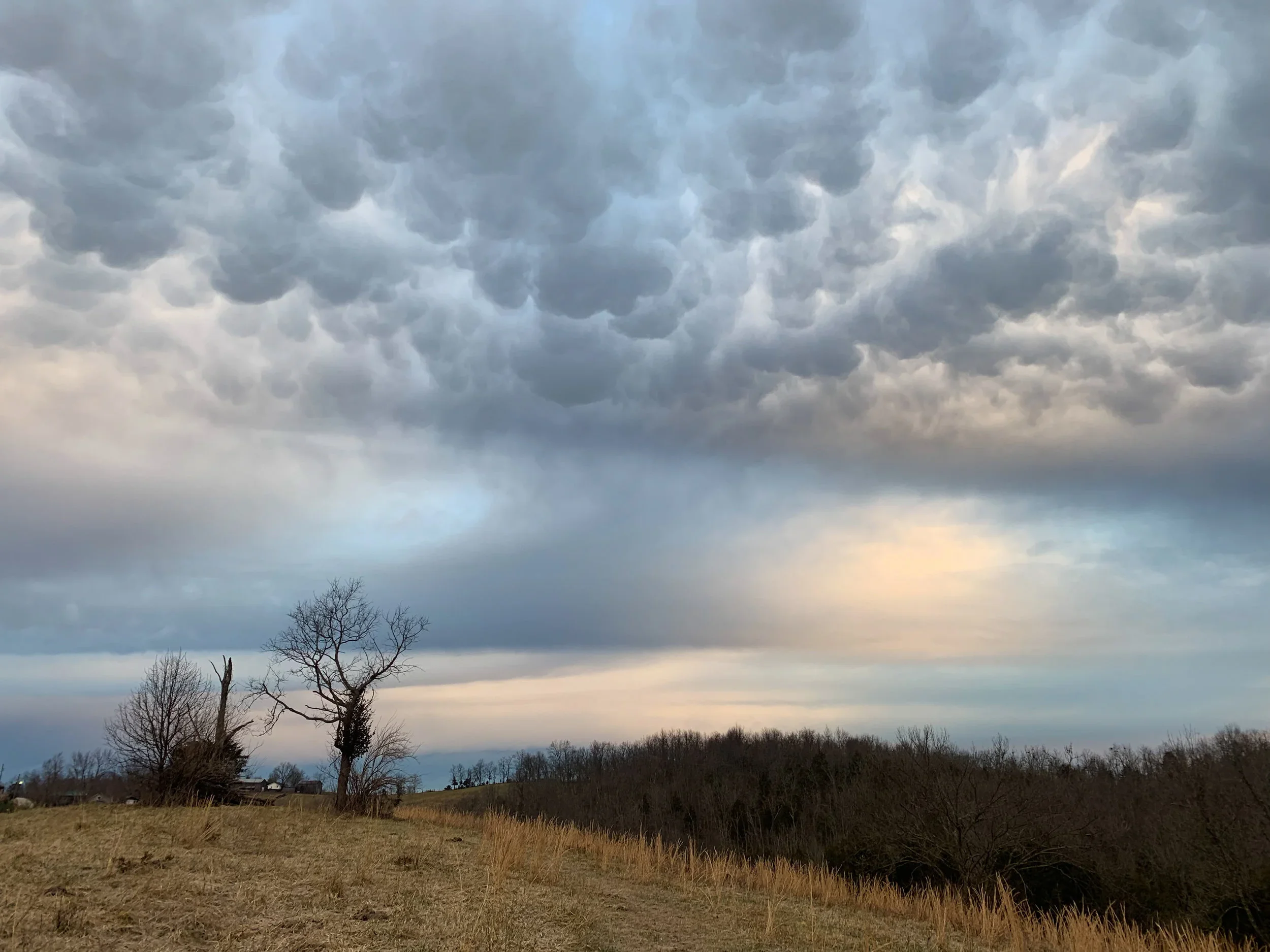 Wonder Round (December 23-January 5, 2019)