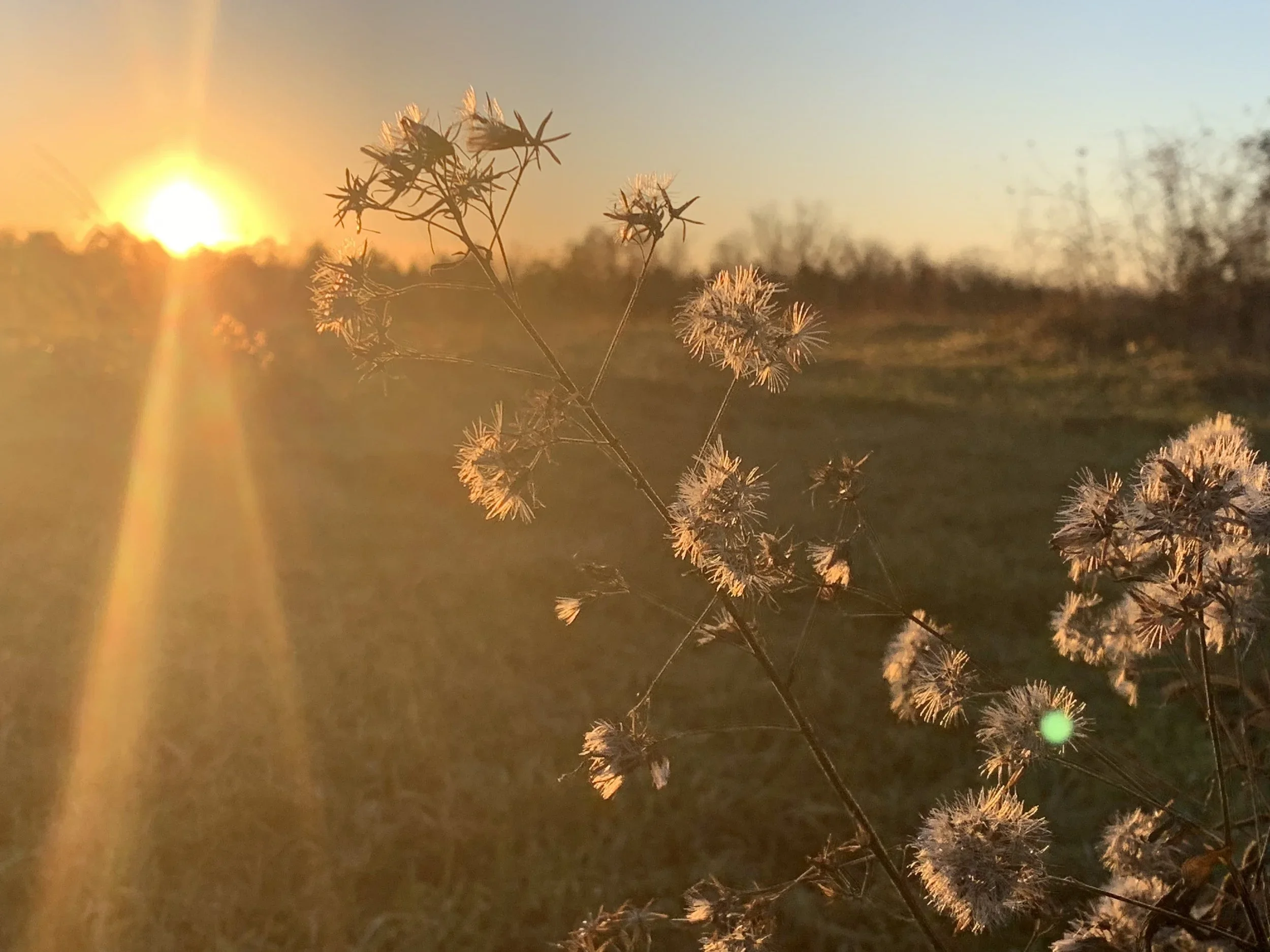 Wonder Round (January 6-26, 2019)