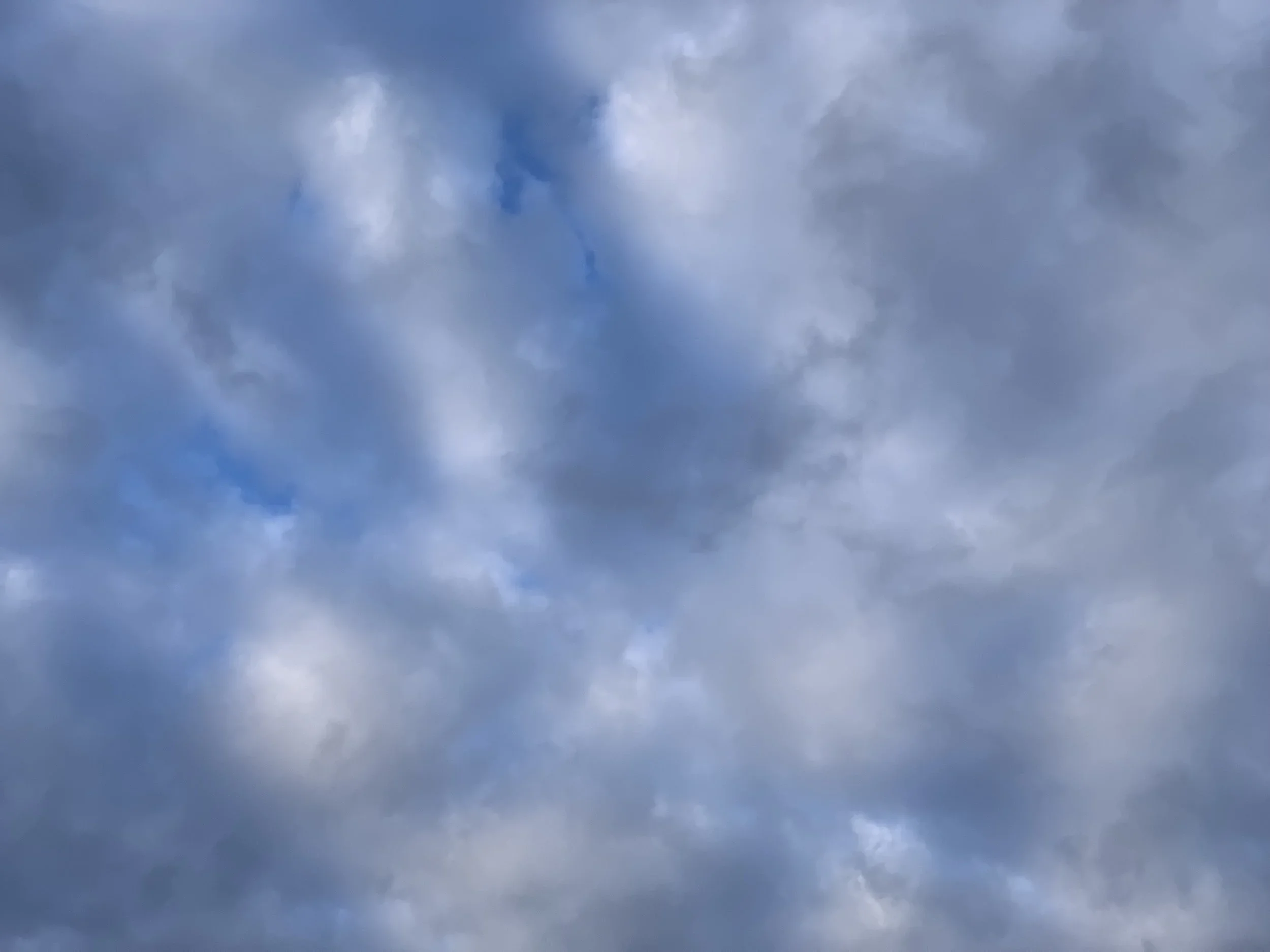 Wonder Round (January 27 - February 2, 2019)