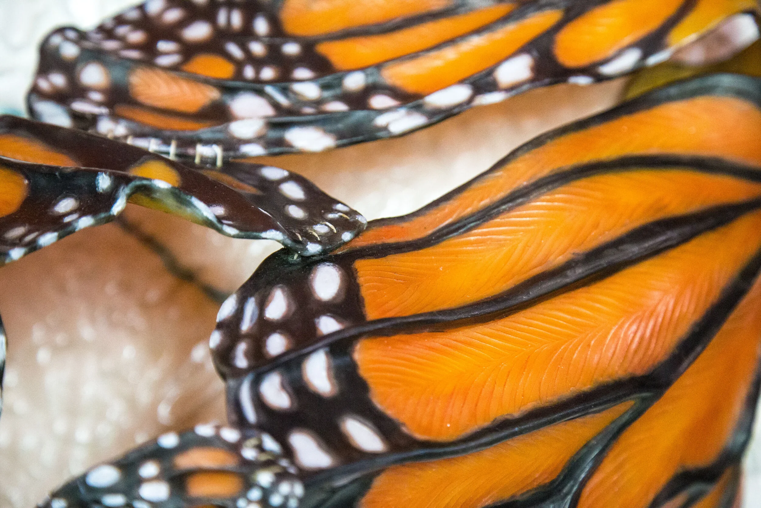 Before Our Very Eyes