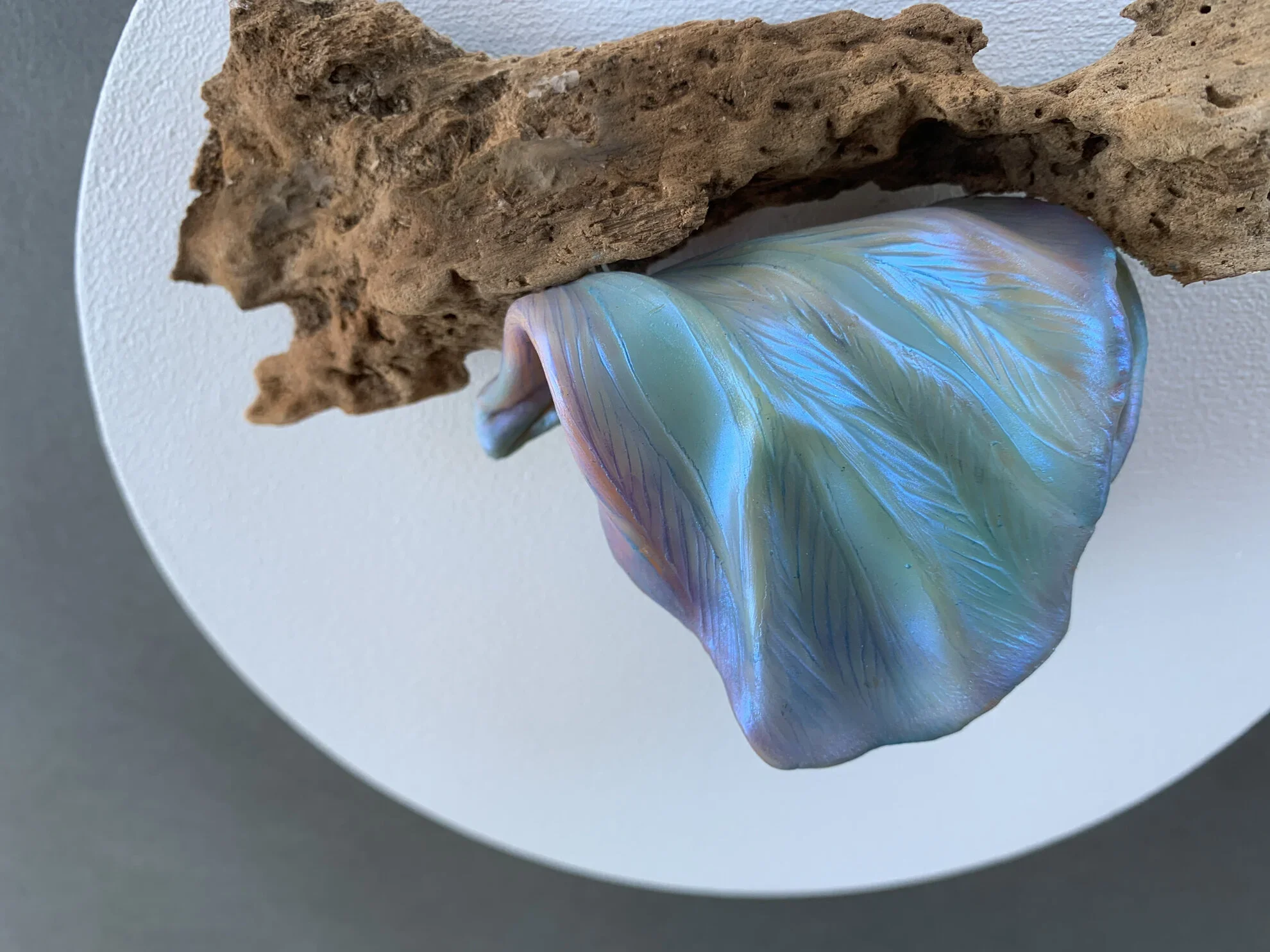 If You’ve Not Yet Heard the News - Metamorphosis is Coming!