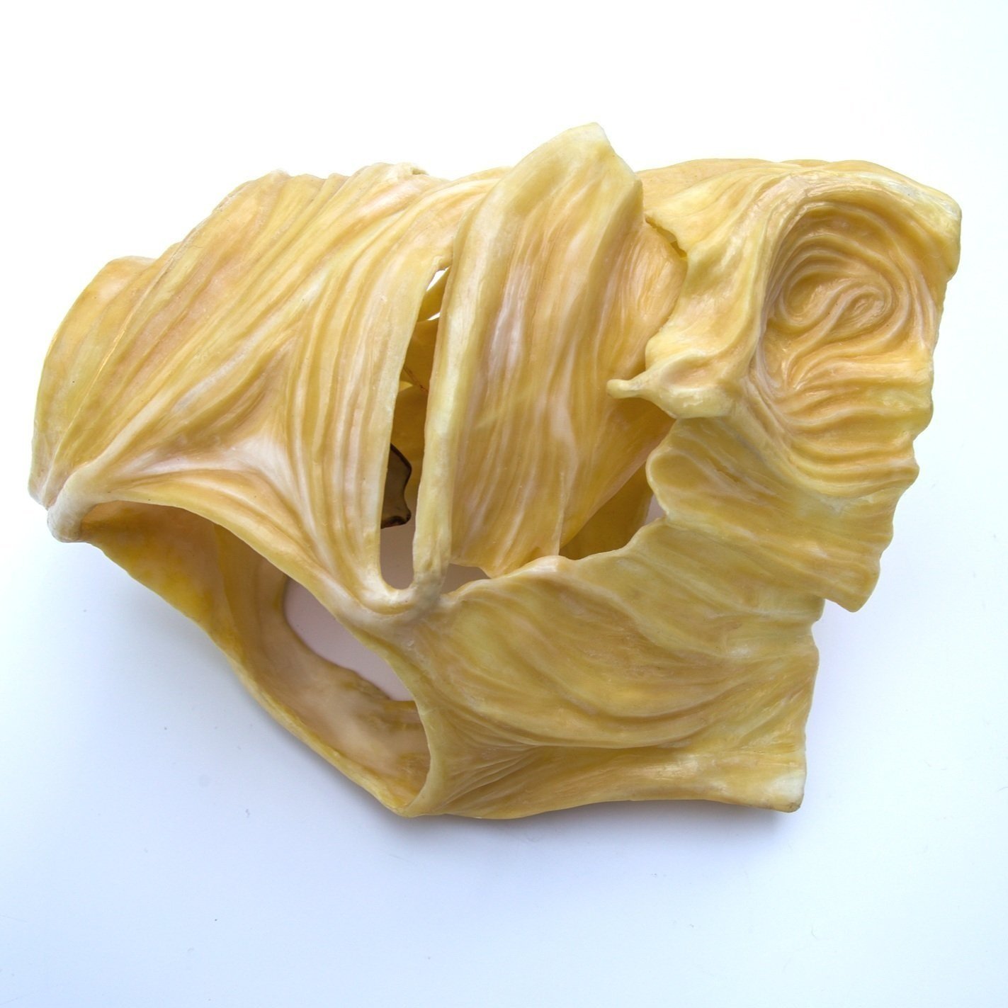 sacredincubationdetail2-29.jpg