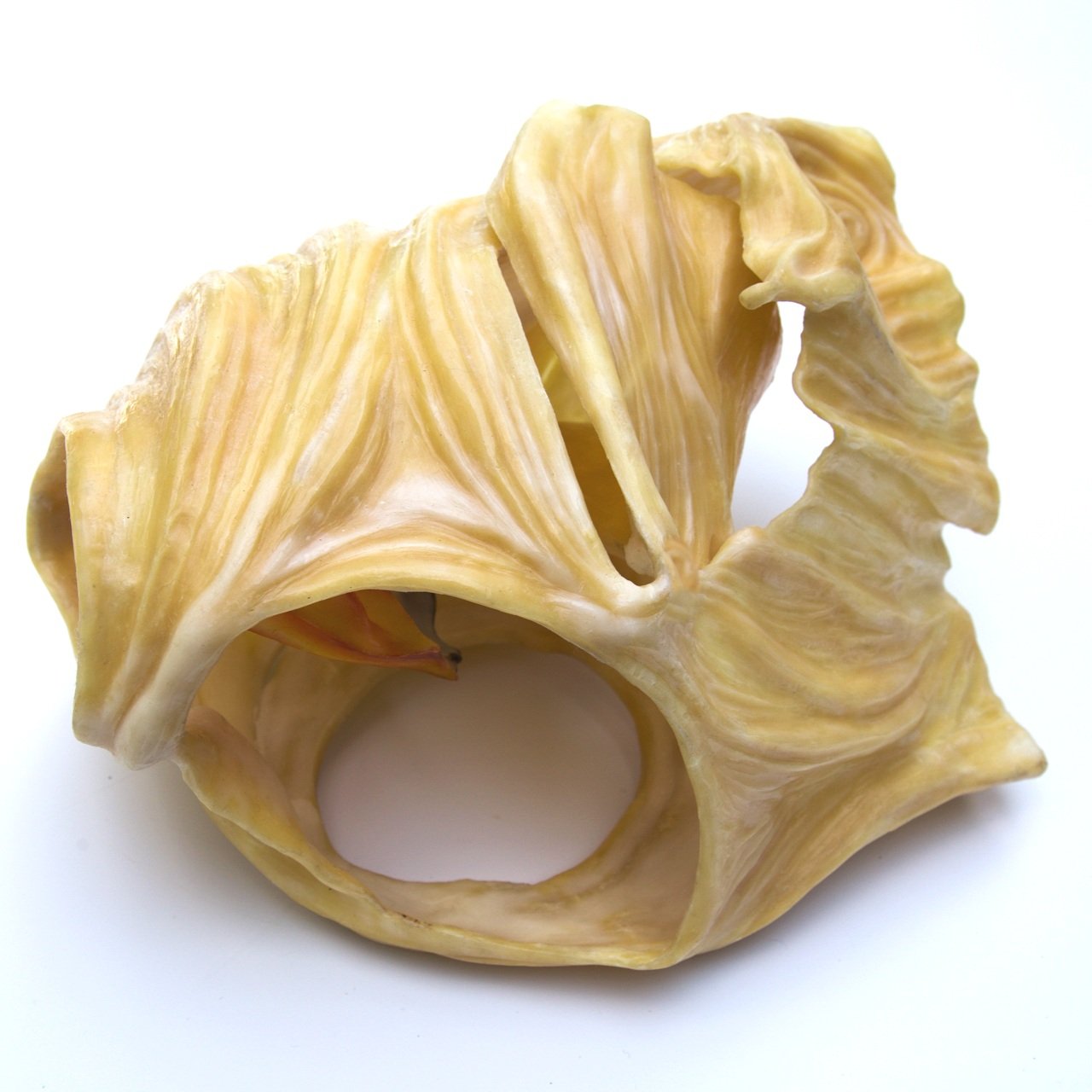 sacredincubationdetail2-21.jpg