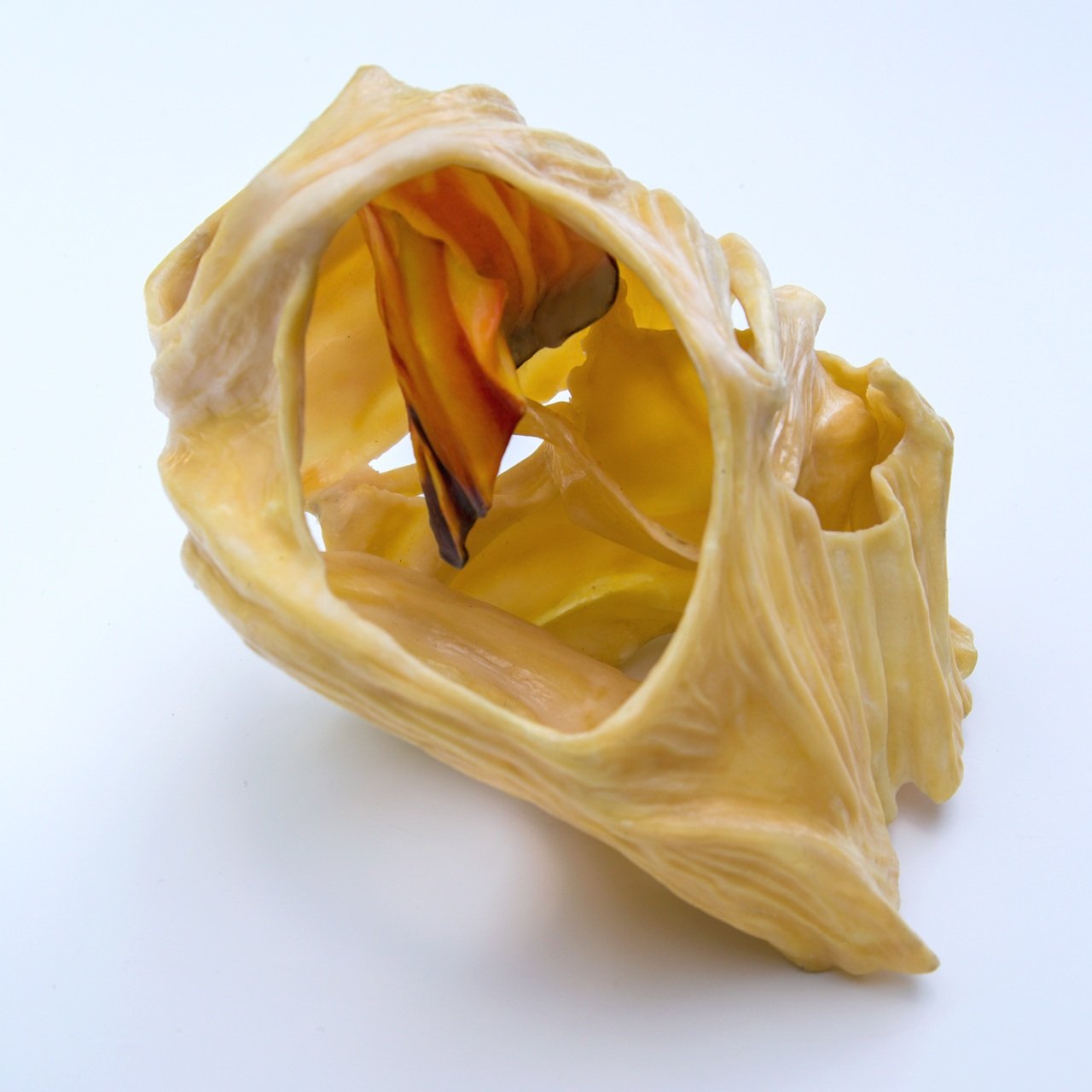 sacredincubationdetail2-22.jpg