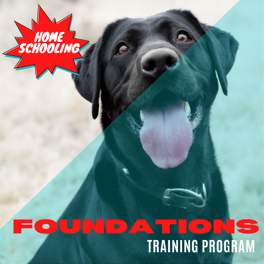 Foundations Home Schooling Program .png