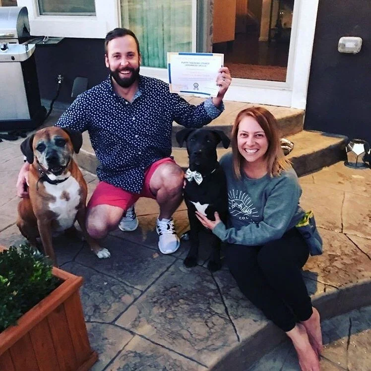 Matt S' Testimonial