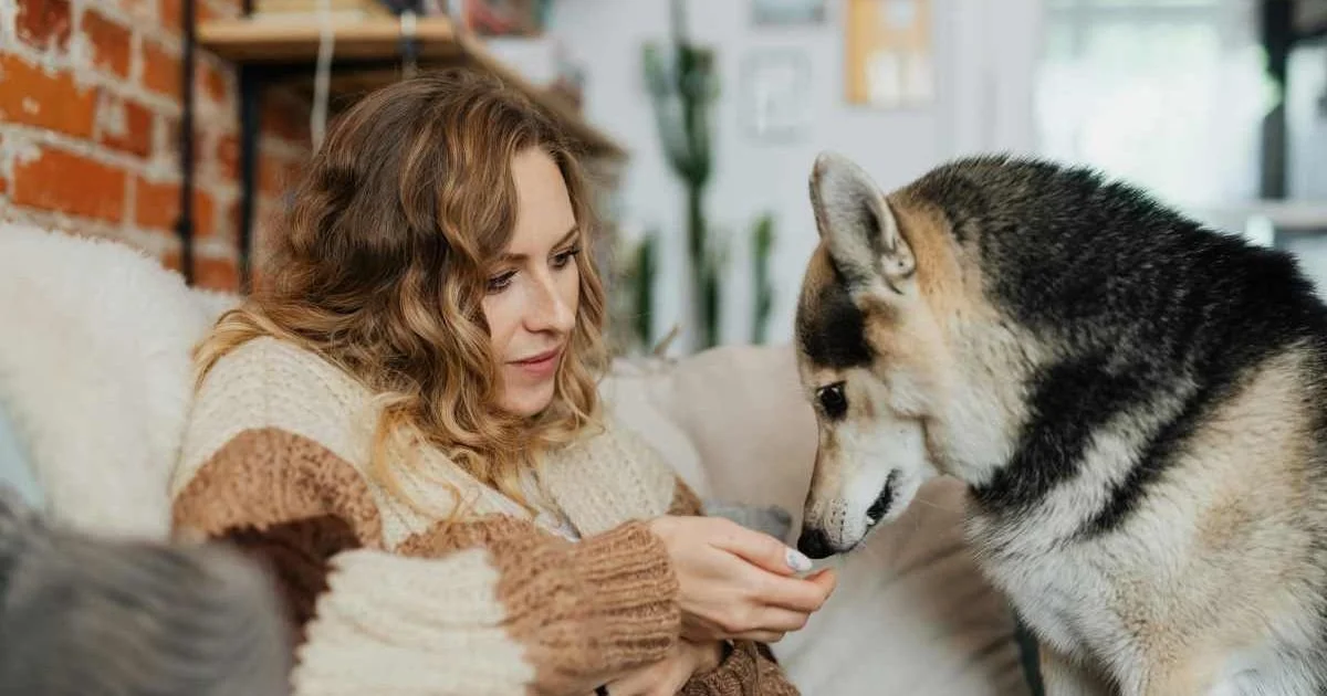 The Funny Realization Many Dog Parents Have During Training