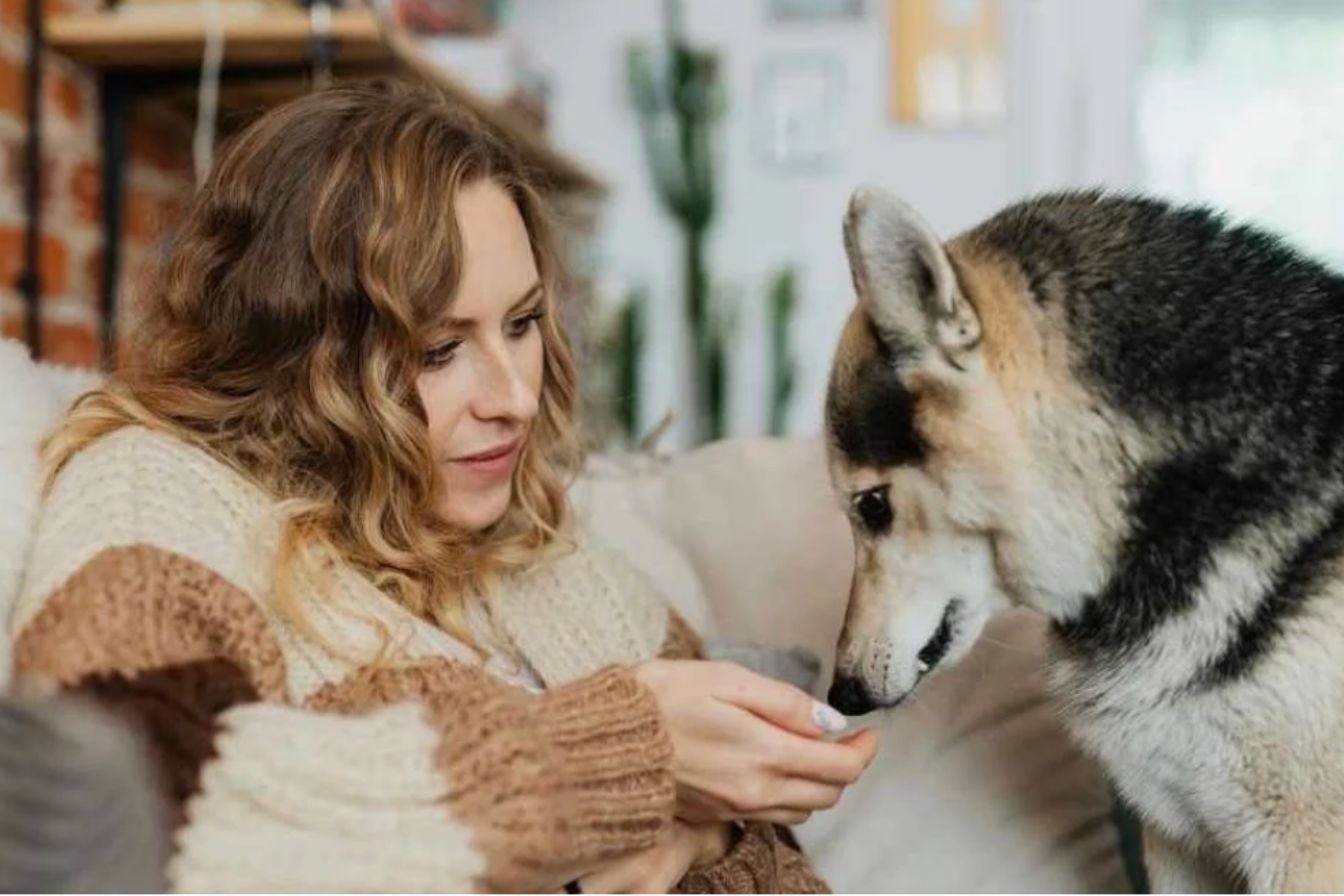 The Funny Realization Many Dog Parents Have During Training