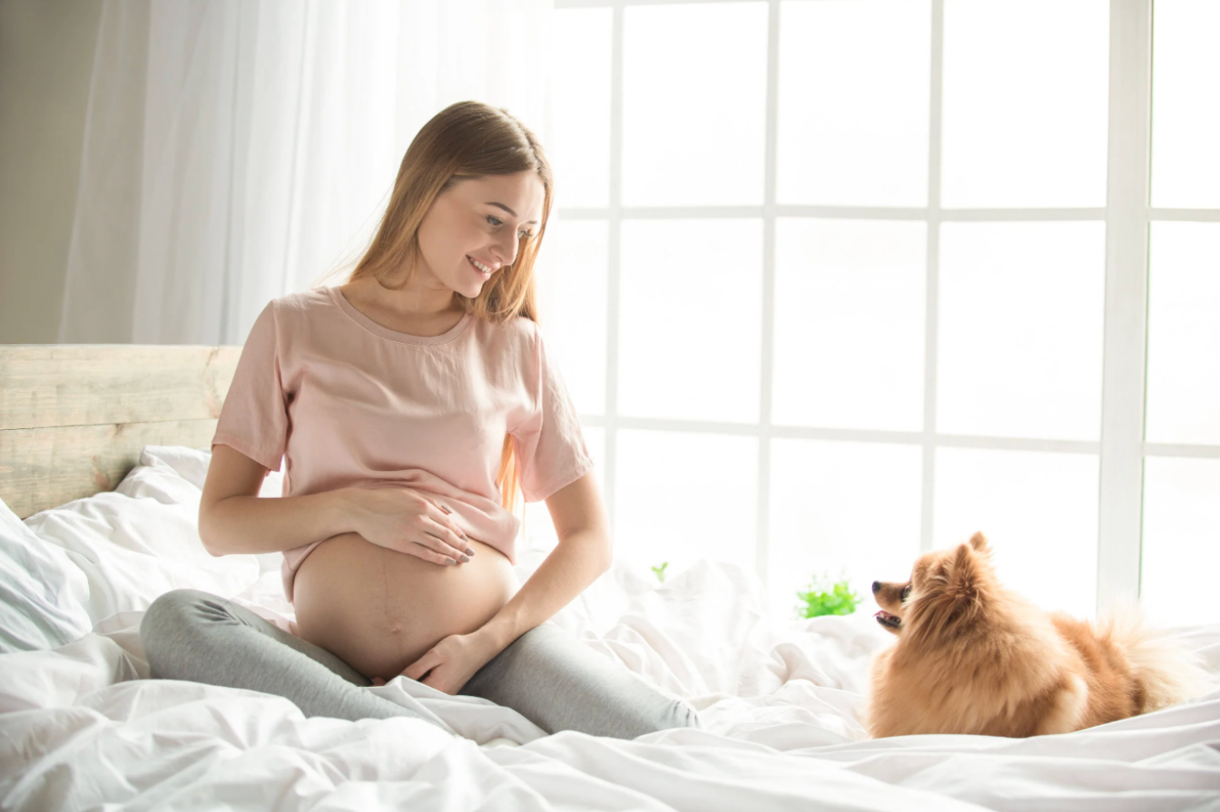 What Is A Doggy Doula®?