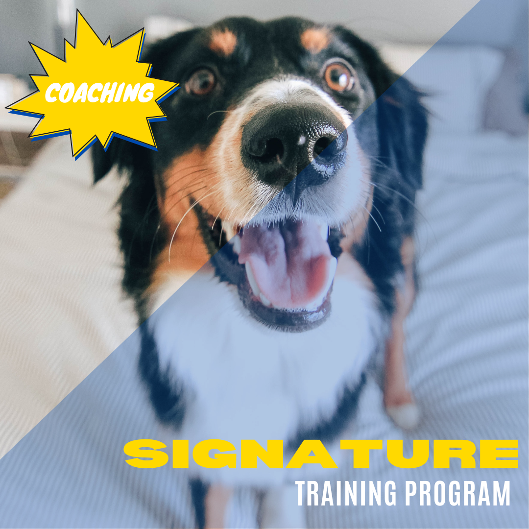 Signature Coaching Program.png