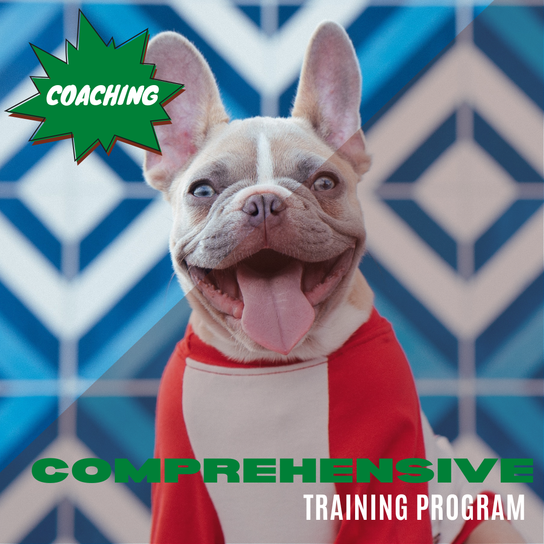 Comprehensive Coaching Program.png