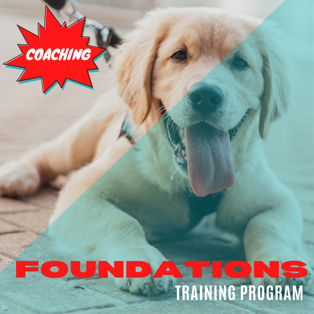 Foundations Coaching Program.png