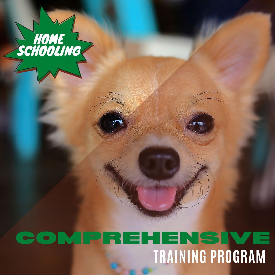 Comprehensive Home Schooling Program.png