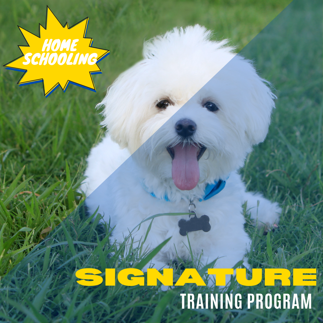 Signature Home Schooling Program .png