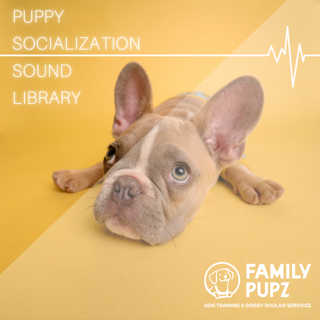 Puppy Potty Training Log (6).png