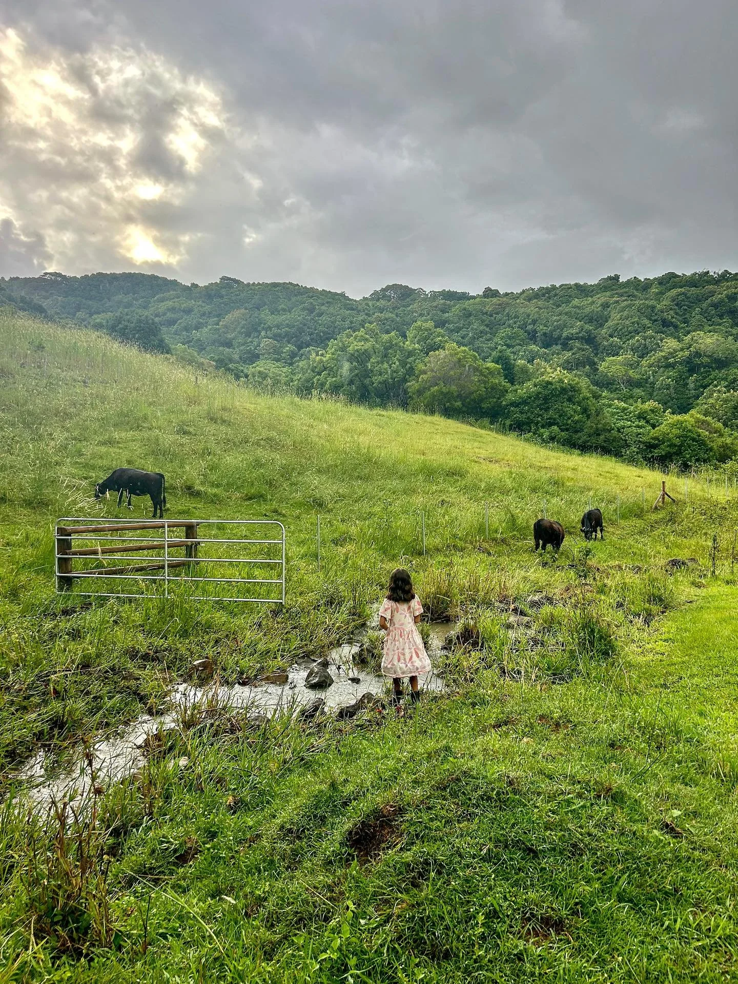 #bettergrazing #betterliving