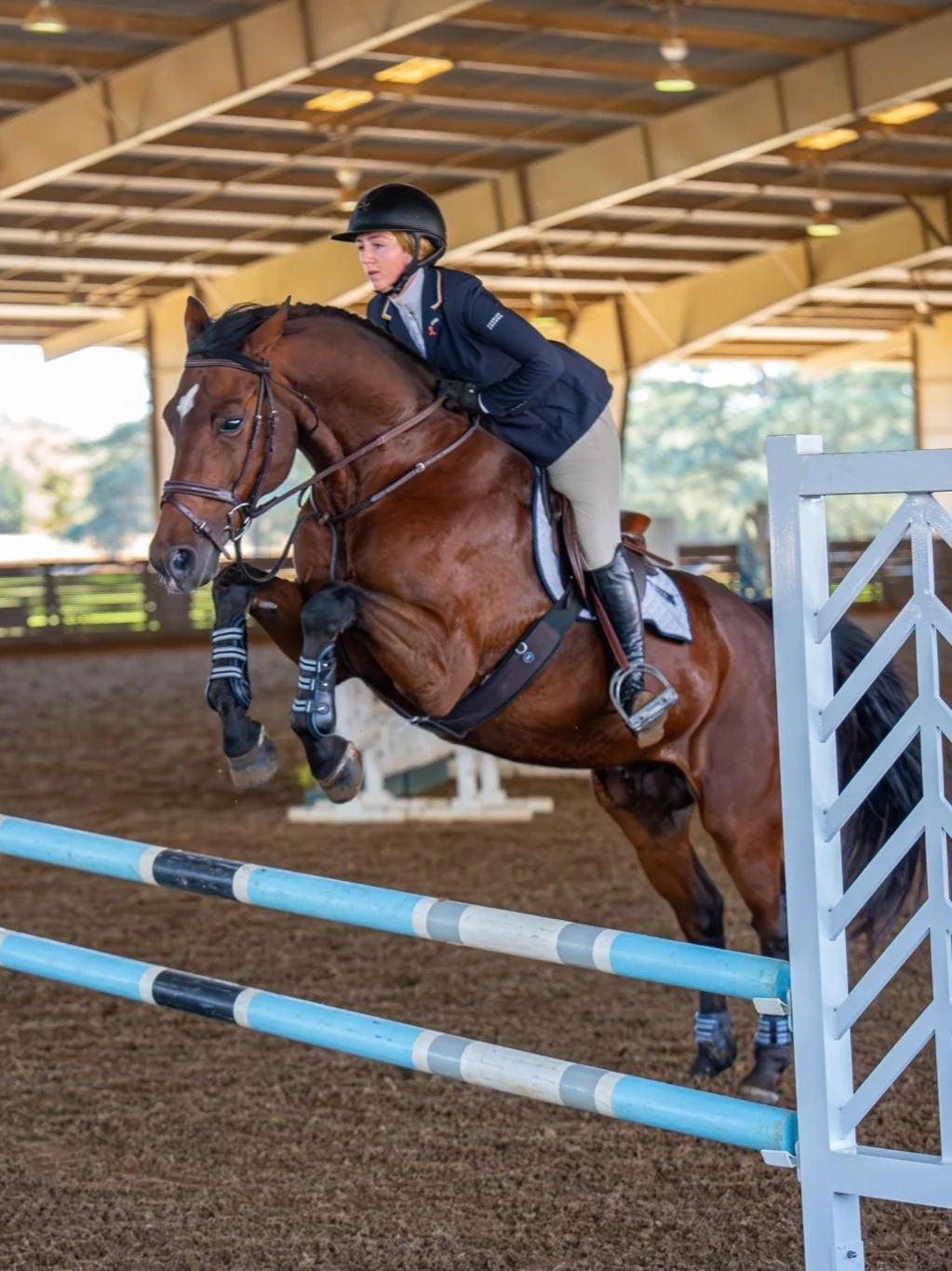 Equestrian-3.jpg