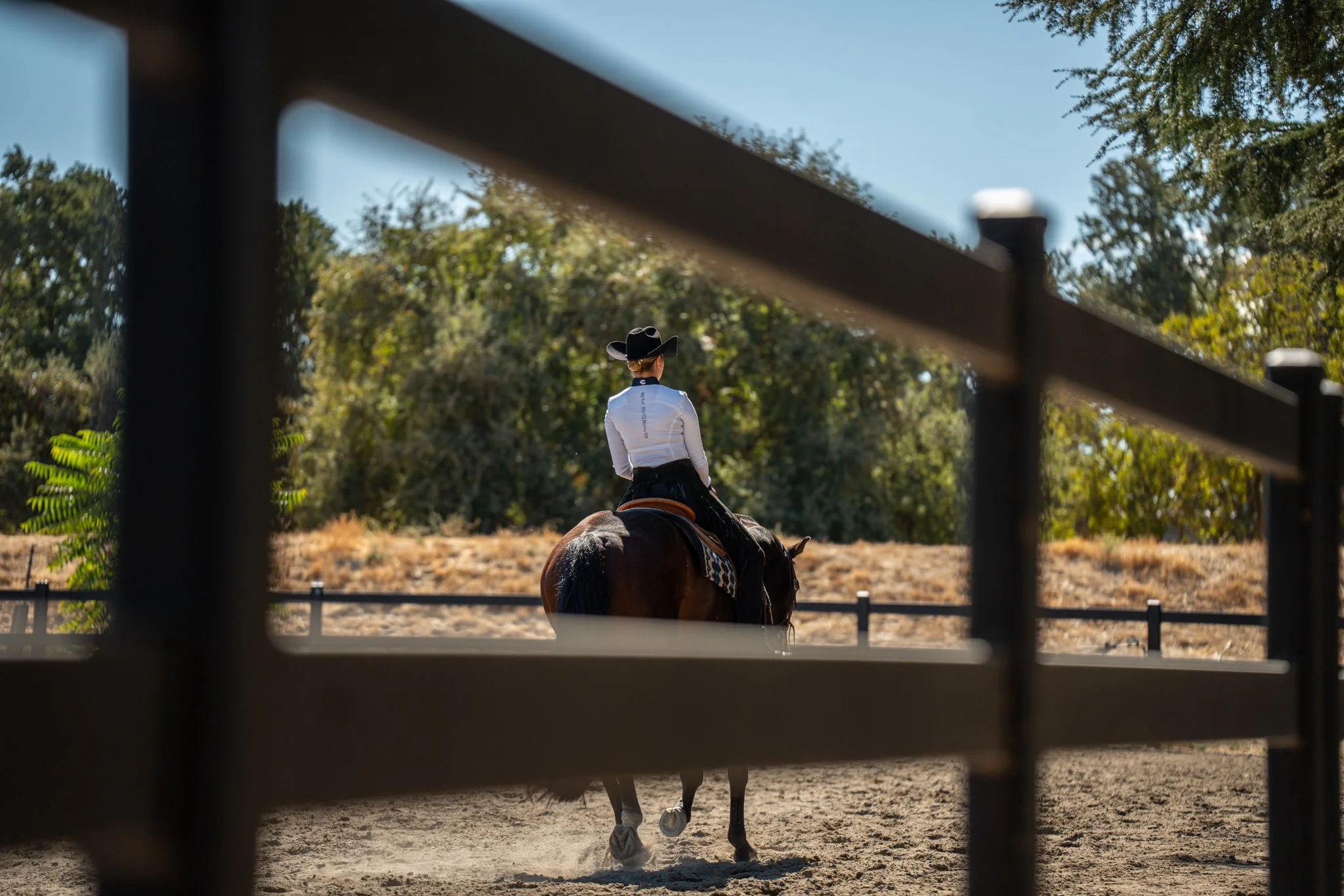 Equestrian-7.jpg