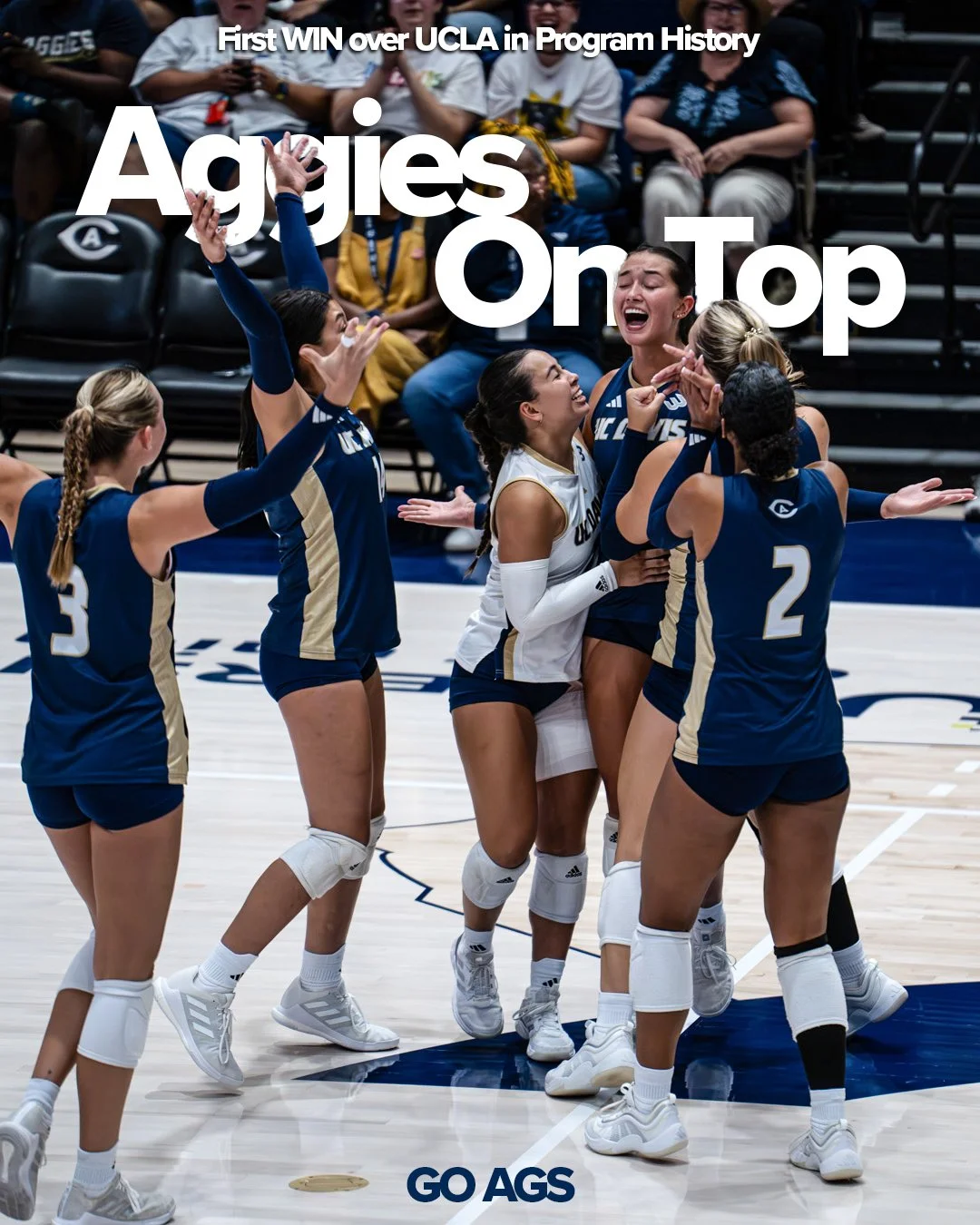 VB Win Graphic