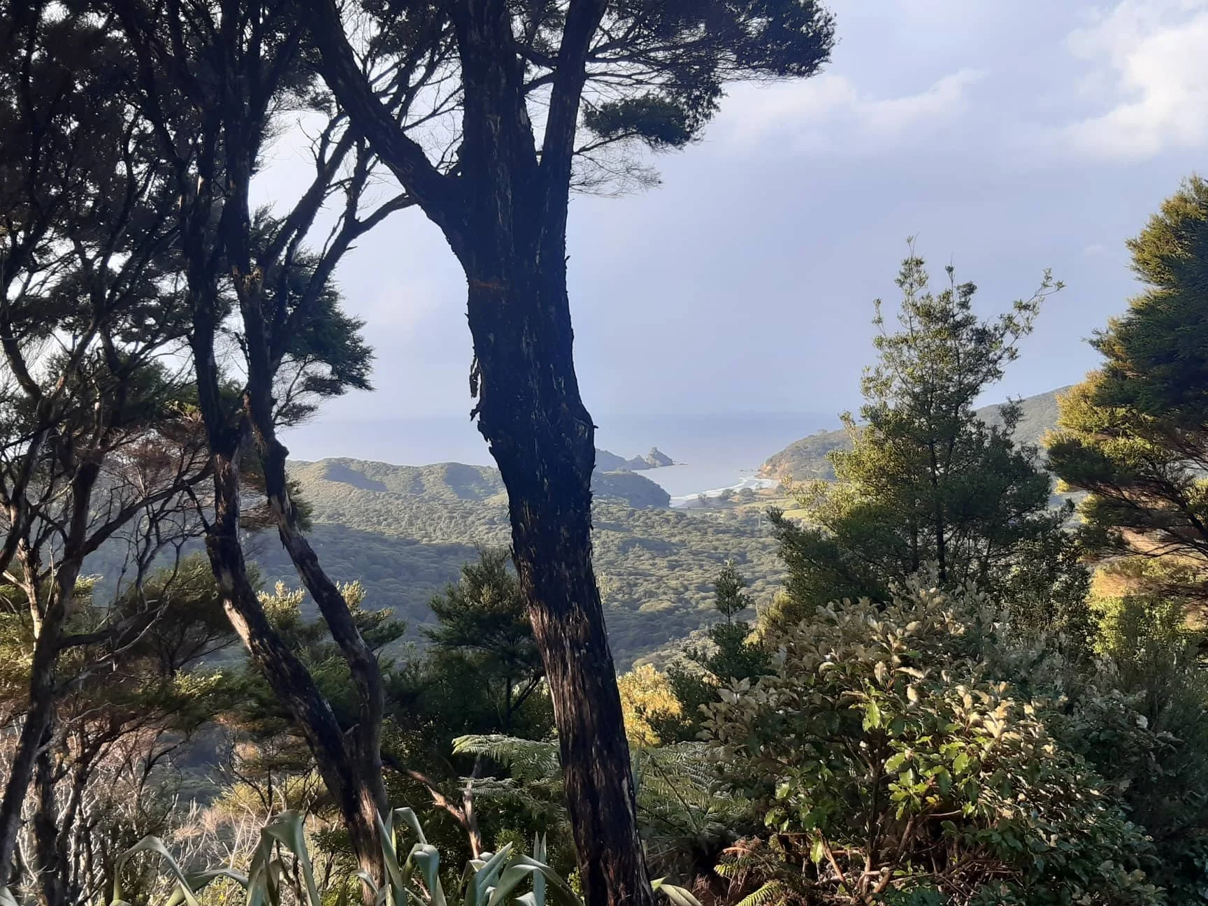 There is a better choice for Auckland: City Vision’s guide to giving feedback on the Long Term Plan