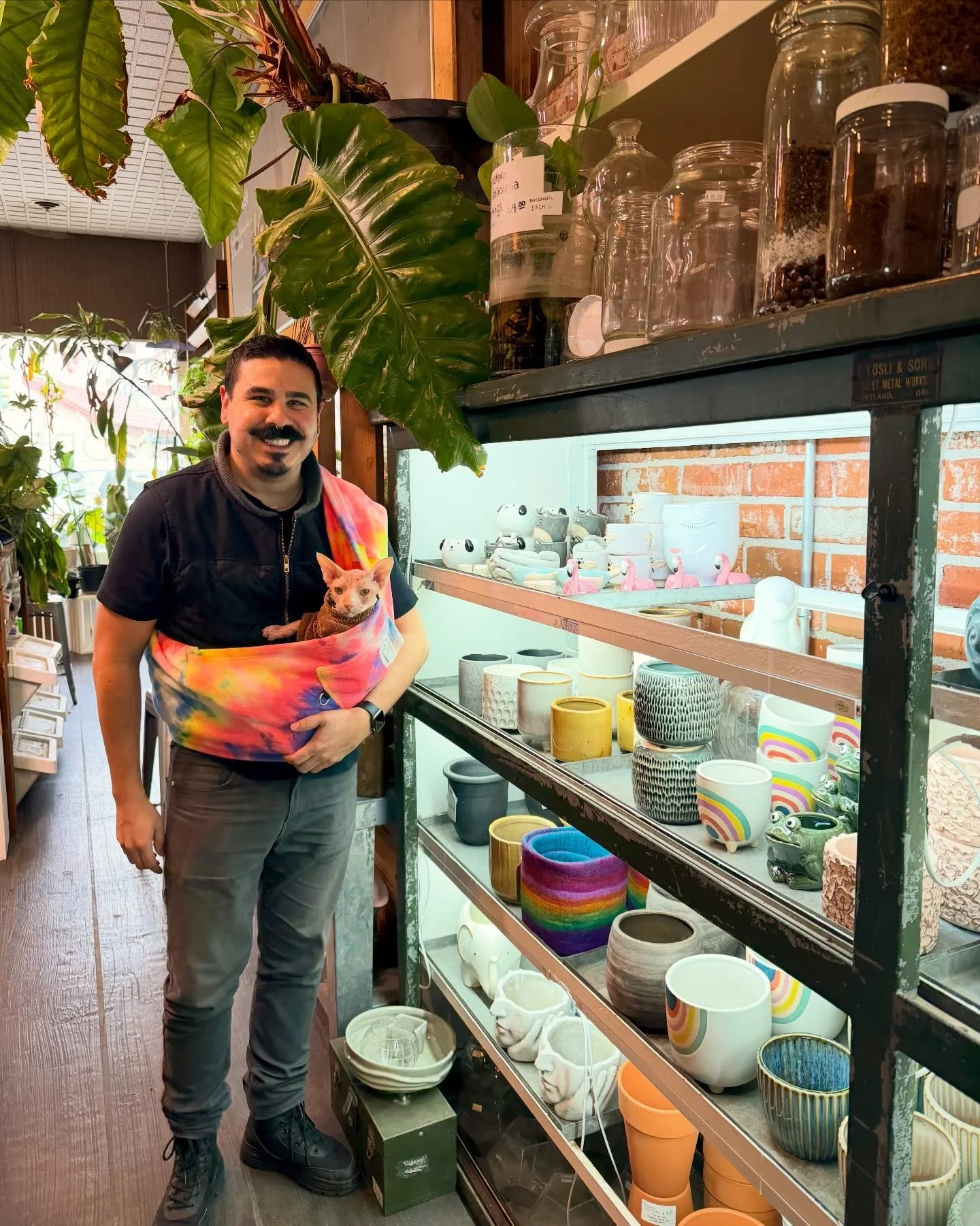 🌿 Spring is in the air! This is your sign to visit A Modern Plantsman and bring home a new plant (or two&hellip; plus a cute planter&hellip; and don&rsquo;t forget the stickers 😉)

So many fun new things to shop! Dominic and his sidekick Stanley ma