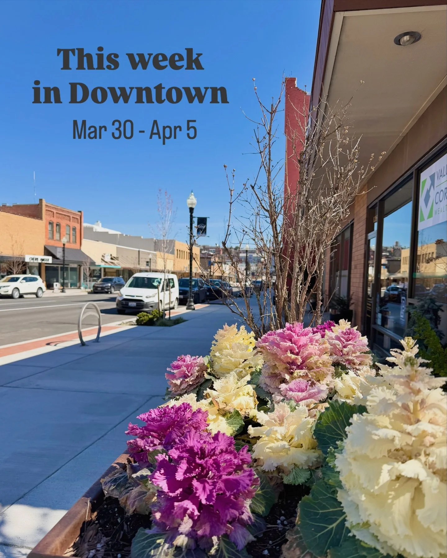 📣 This Week in Downtown:

Downtown updates:
&bull;🎨Mark your calendars! Join us for Downtown Pullman Art Walk on May 16! 
👨&zwj;🎨We&rsquo;re looking for local artists who&rsquo;d like to display their work in participating downtown businesses. Si