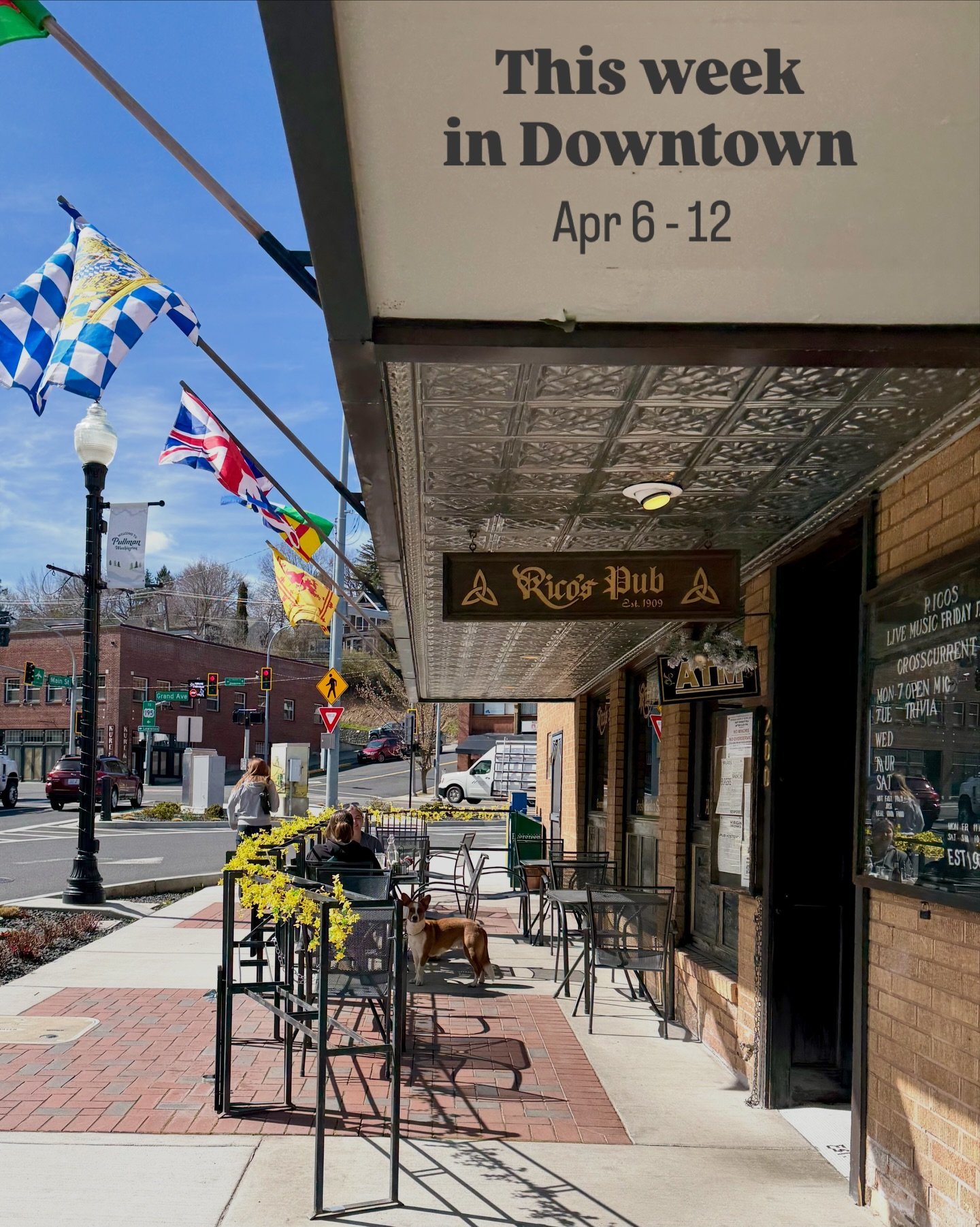 📣 This Week in Downtown:

Downtown updates:
&bull;🎨Mark your calendars! Join us for Downtown Pullman Art Walk on May 16! 
👨&zwj;🎨We&rsquo;re looking for local artists who&rsquo;d like to display their work in participating downtown businesses. Si