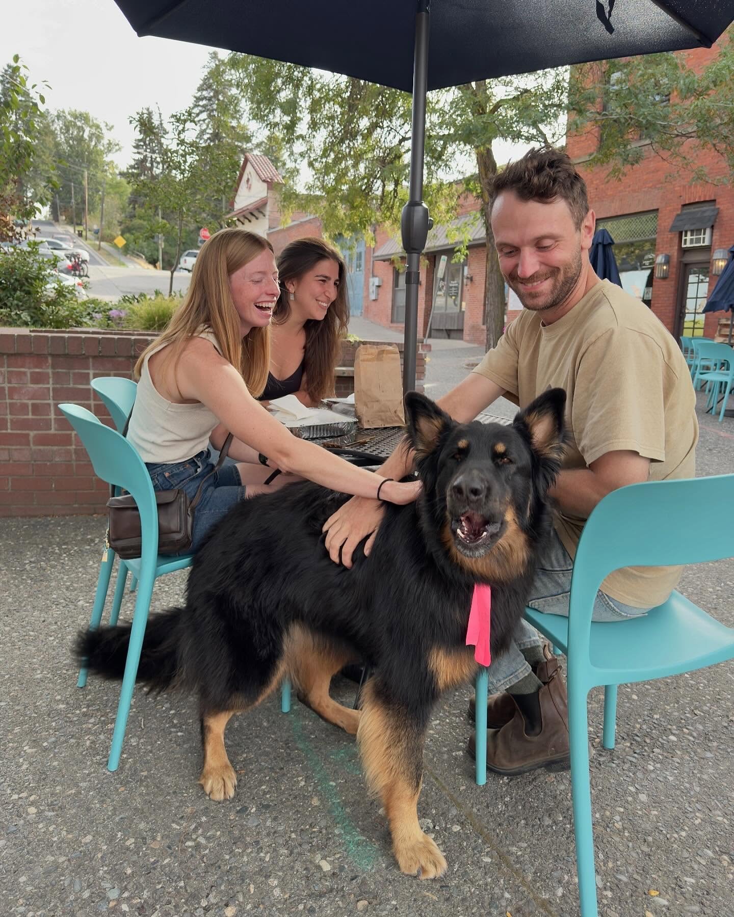 💙☀️ Our tables and chairs are back!

You can once again enjoy our seating areas at High Street and Pine Street Plaza! Grab a drink or a bite from your favorite downtown spot and soak up the warmer weather!

💡 This project was made possible thanks t