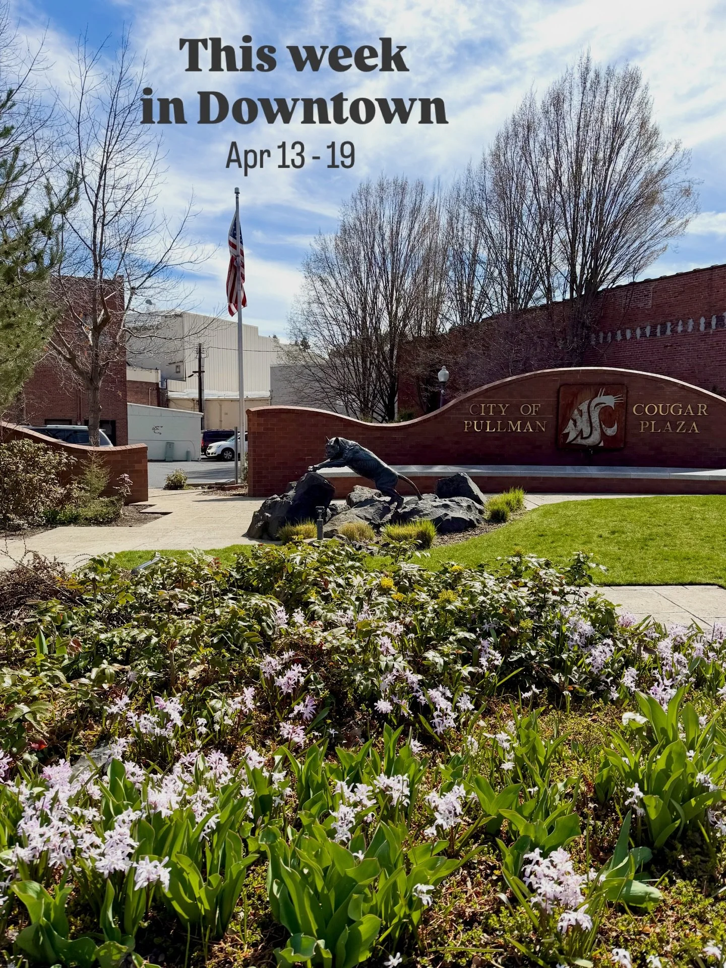 📣 This Week in Downtown:

Downtown updates:
&bull; 🌸🐾 Welcome, Coug families! WSU Spring Family Weekend is coming up April 17&ndash;19, and we&rsquo;re excited to have everyone in town. Come downtown to shop local, grab a bite, and enjoy some fun 