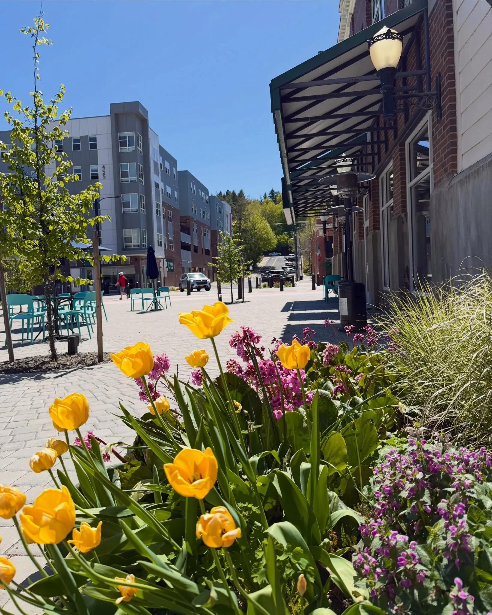 🌷Spring is here and Downtown Pullman is blooming!

Come enjoy the sunshine, visit your favorite local spots, and soak up a beautiful day downtown! 💙