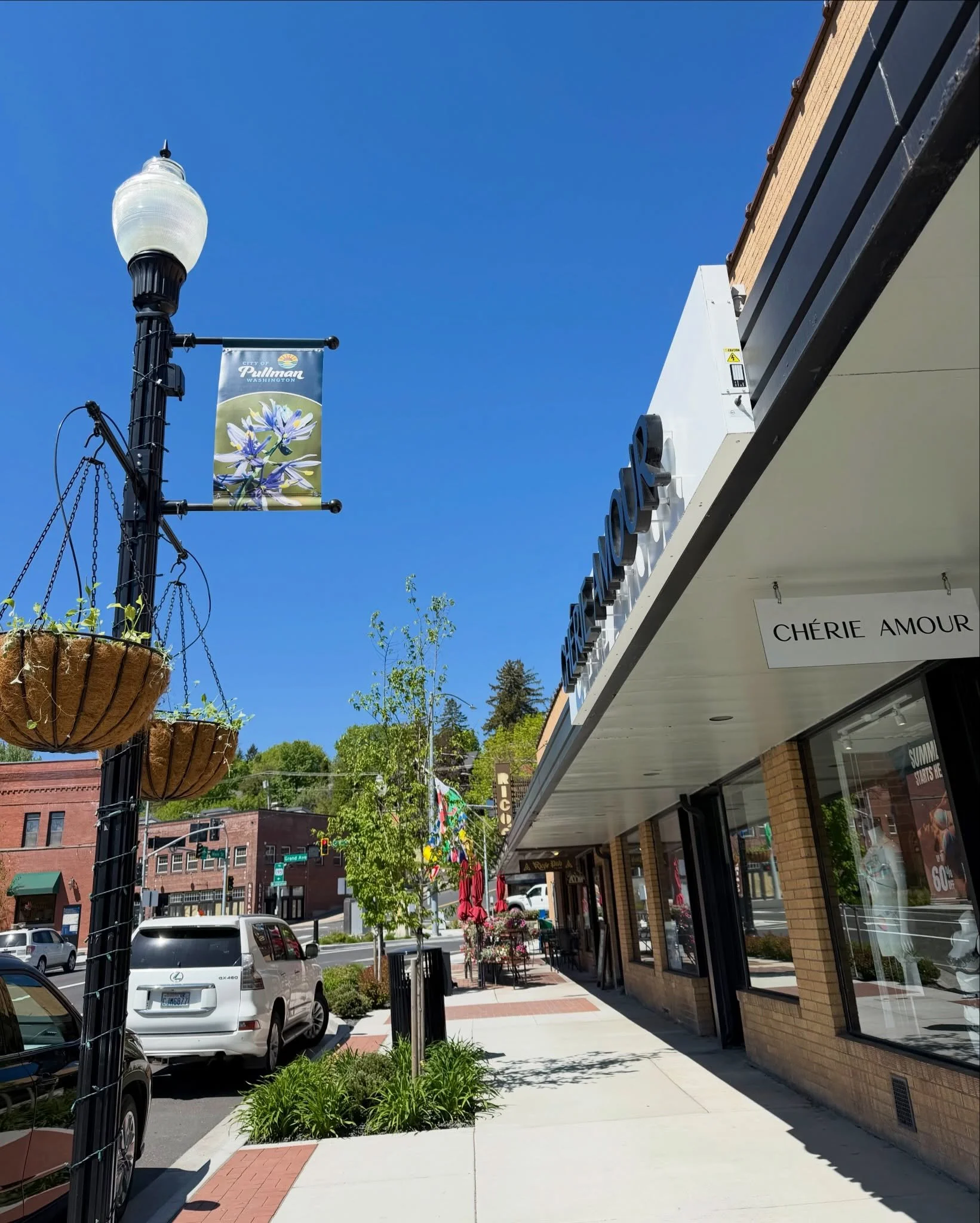📣🌸 The flower baskets and new downtown banners are officially up! 
Spring is looking beautiful in Downtown Pullman ☀️ Stop by, shop local, and enjoy the season with us!
💡Don&rsquo;t forget to check out our Visit Downtown Pullman Guide! (link in bi