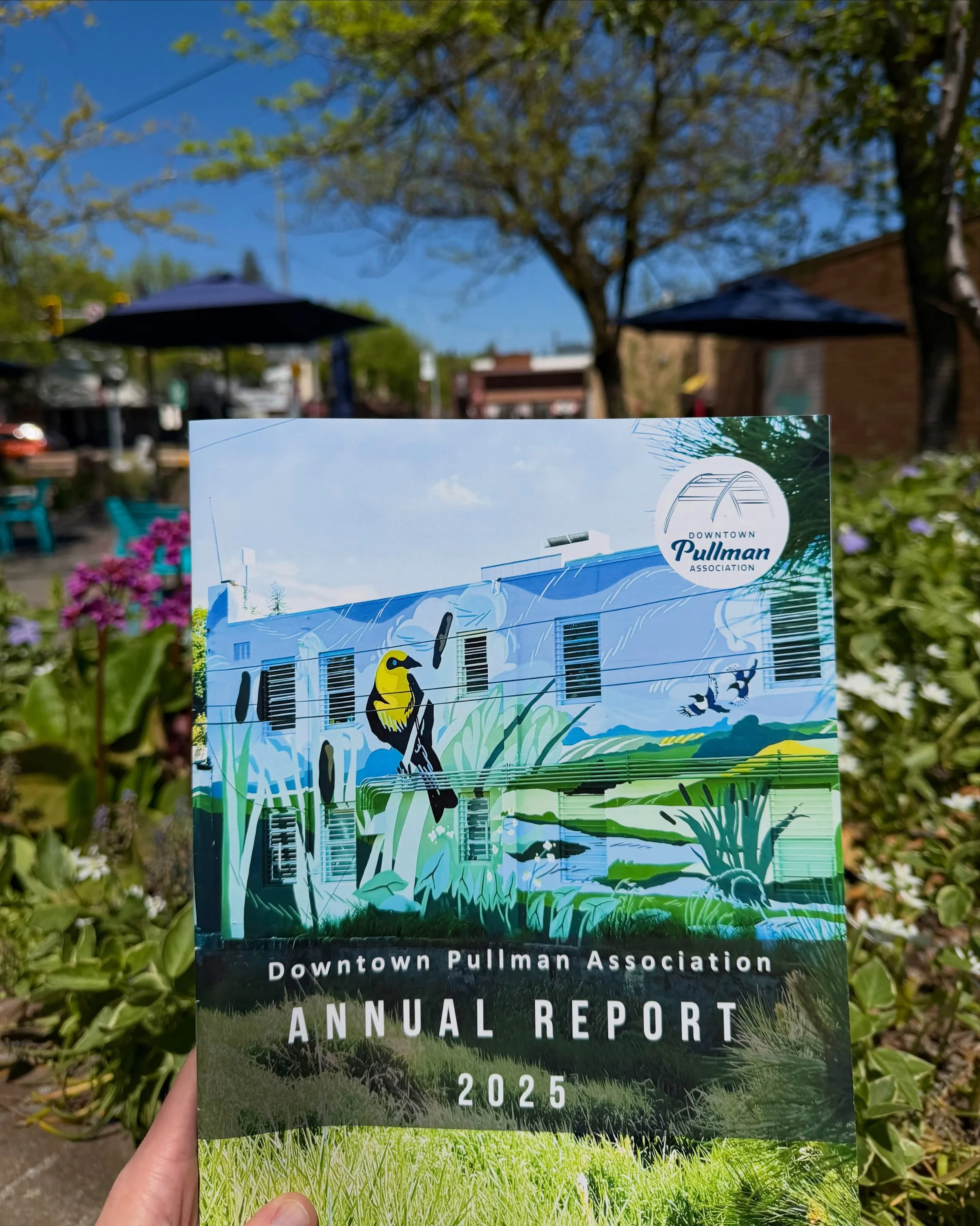 📣📘Our 2025 Downtown Pullman Association Annual Report is here!

2025 was a milestone year for the DPA as Pullman officially became a Washington Main Street Community 🎉

Inside the report, you&rsquo;ll find highlights from a year filled with commun
