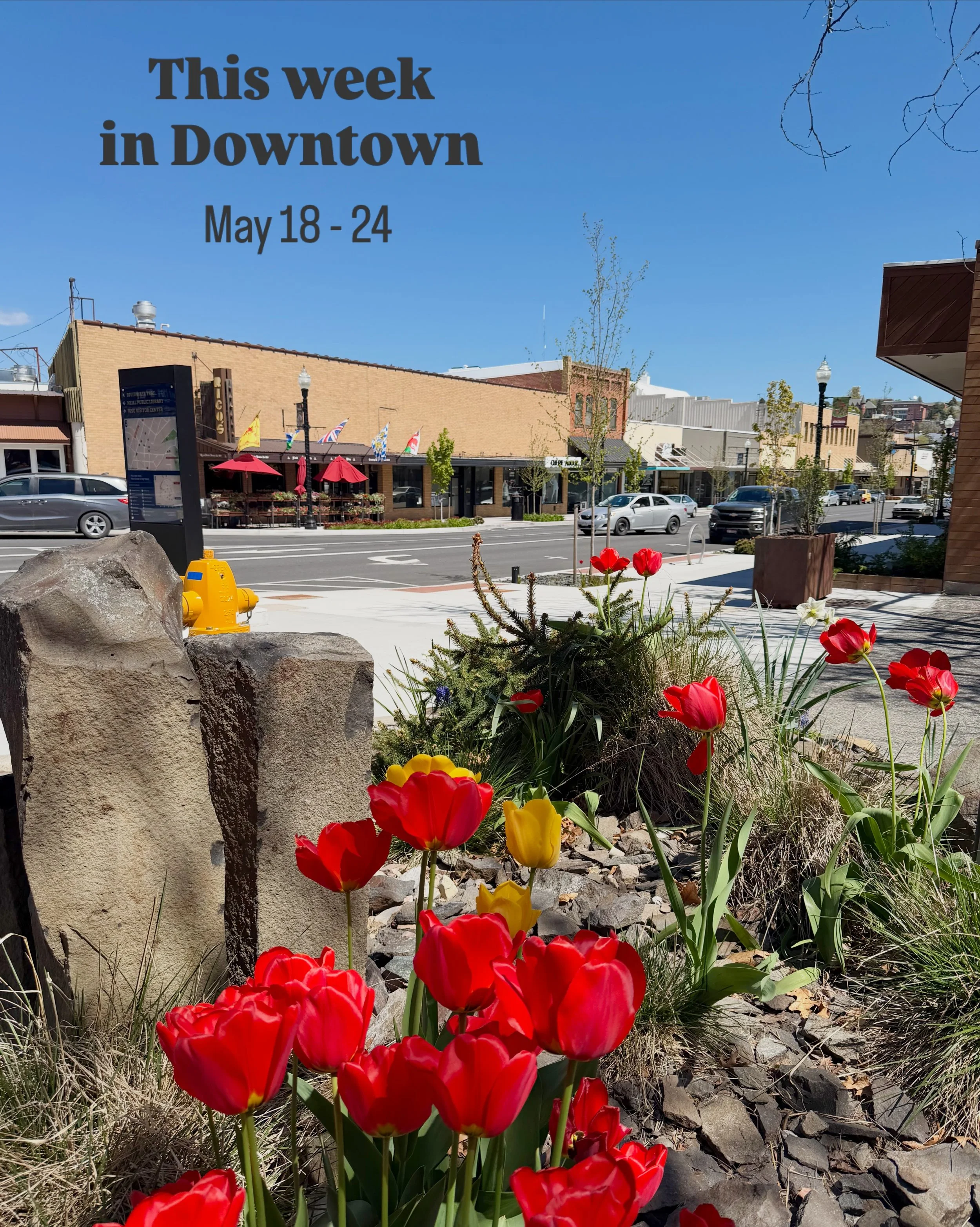 📣This Week in Downtown:

Downtown Updates:
&bull; 💙🎨 Thank you to everyone who braved the weather and joined us for the Downtown Pullman Art Walk last Saturday! If you missed it, some participating businesses will have artwork displayed through th