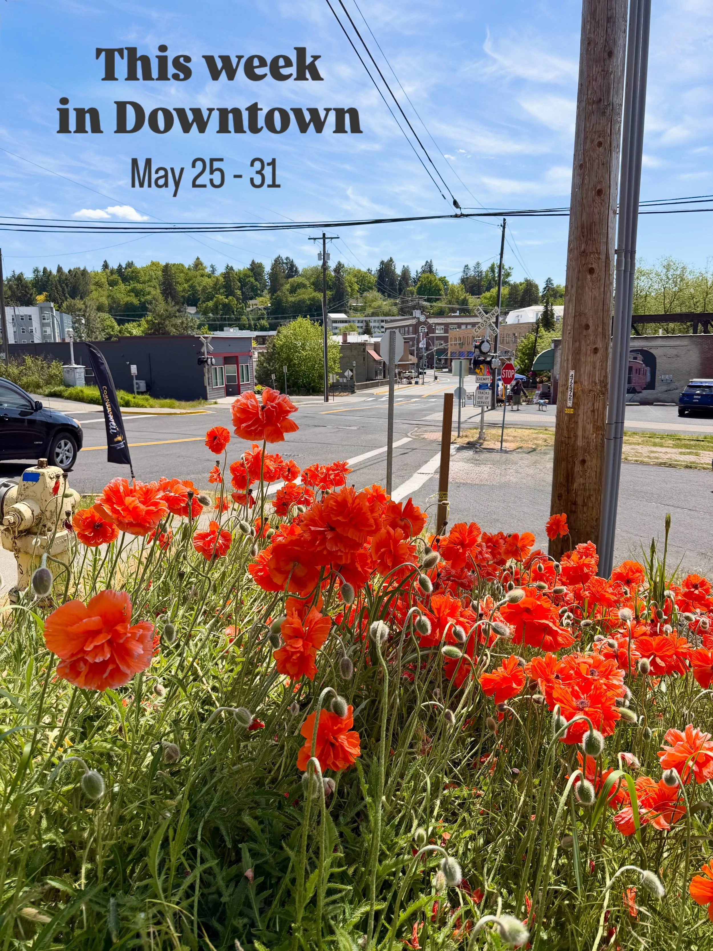 📣This Week in Downtown:

Downtown Updates:
&bull;🎶🎸Music on Main is back! Join us this Thursday 6-8pm as we kick off the series with Mallard Blue!
&bull; 🖼️ Don&rsquo;t miss the &lsquo;Whimsy: The Space Between&rsquo; exhibit at @greystonegrandga