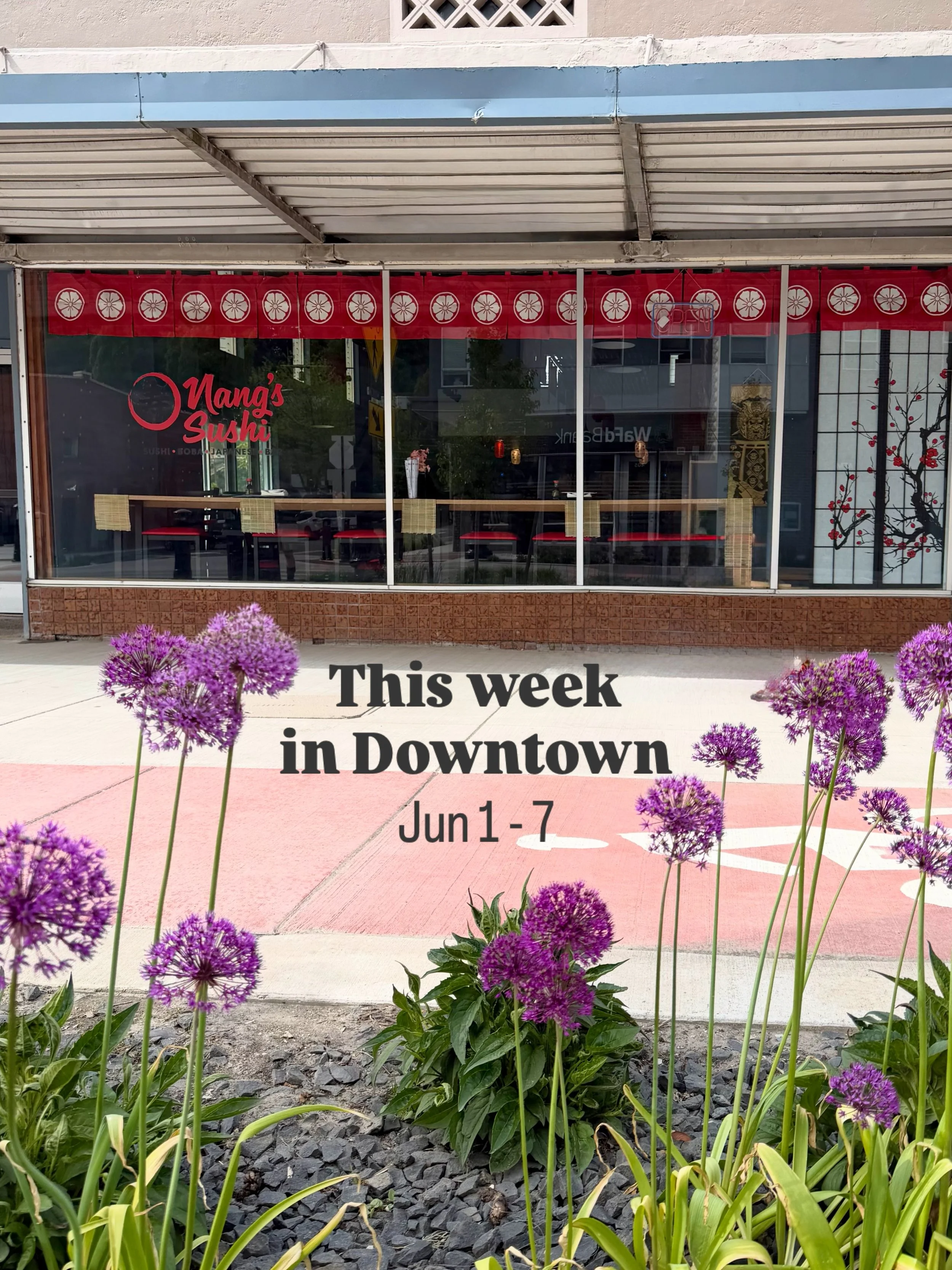 📣 This Week in Downtown:
Downtown Updates: &bull; 🎶🎸 Music on Main is back! Join us this Thursday from 6&ndash;8 PM at Pine Street Plaza for @razanorthwest ! &bull; 🎨 Sign up for Oil Painting Workshop for Adults and Summer Art Classes for Kids at