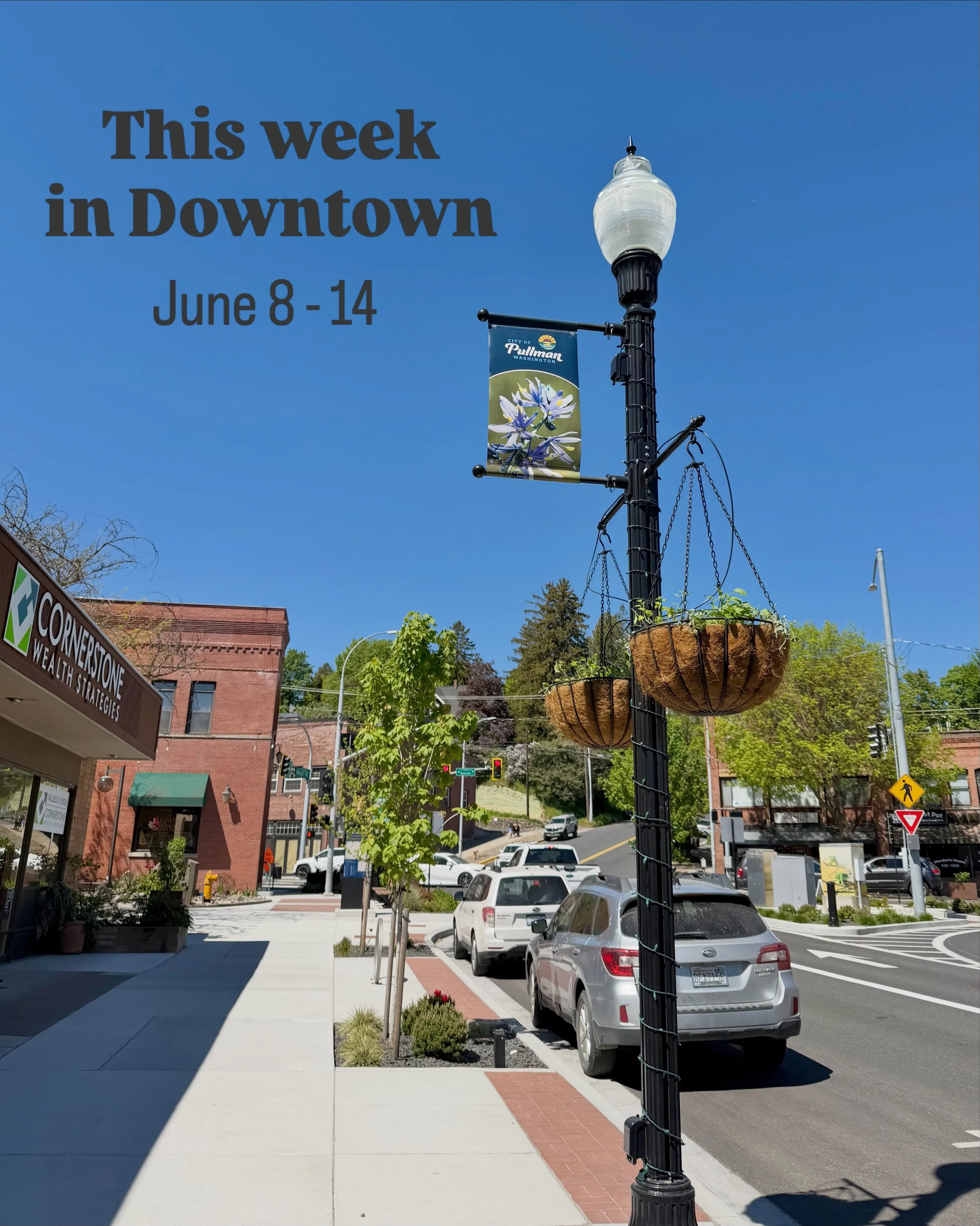 📣 This Week in Downtown

 Downtown Updates:
&bull; 🎶🎸 Music on Main is back! Join us this Thursday from 6&ndash;8 PM at Pine Street Plaza for Betty and the Northern Lights!
&bull; 🎭 Check out @rtop_theatre Theatre Summer Musical Theater Camps! Ca