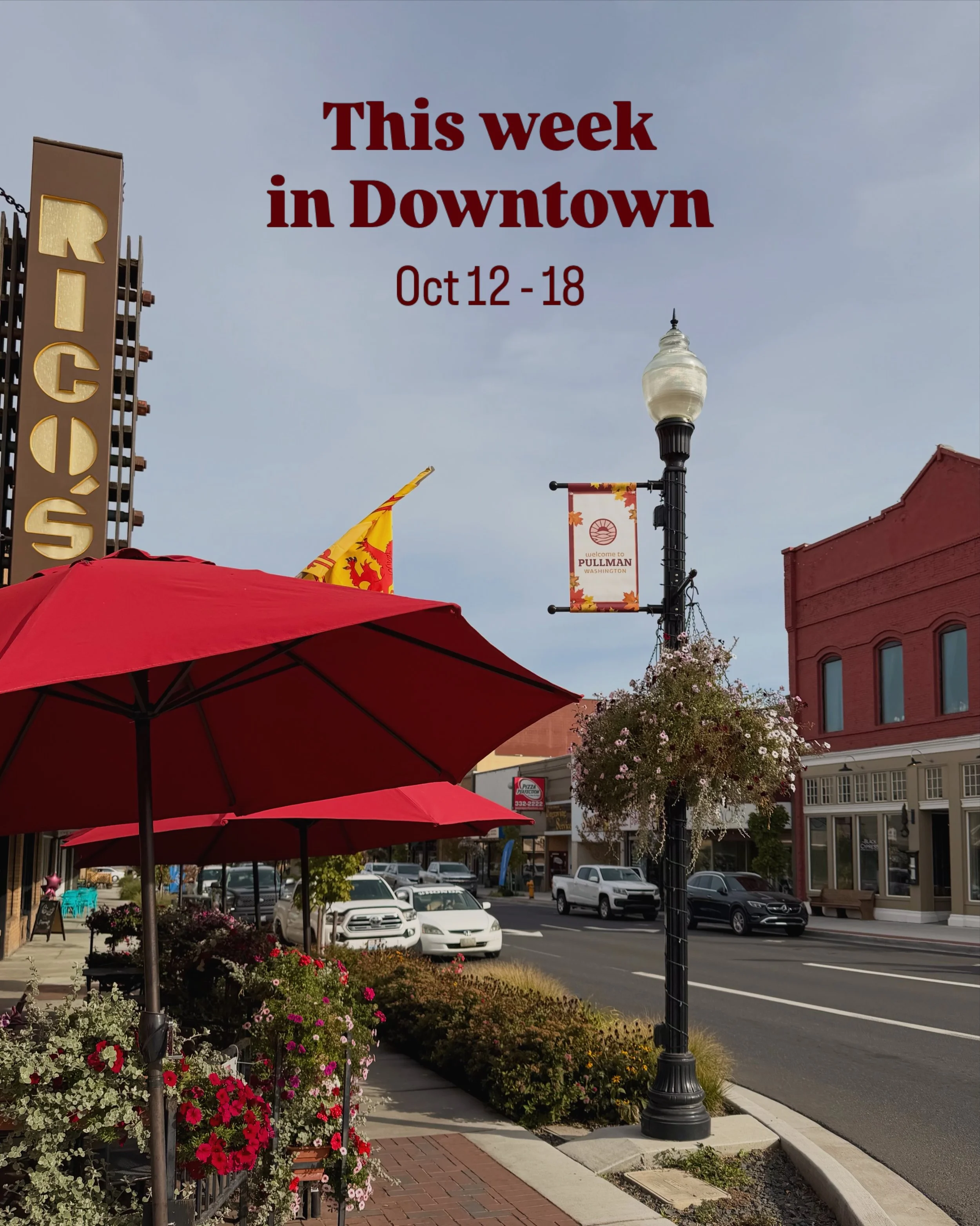 📣 This Week in Downtown!

Enjoy spooky season in Downtown Pullman! 🎃🍂 Check out some festive storefronts and fall specials, and shop local for all things fall and Halloween! 

MON, OCT 12
&bull; Open Mic @ricospub1909 | 7pm

TUE, OCT 13
&bull; Wis