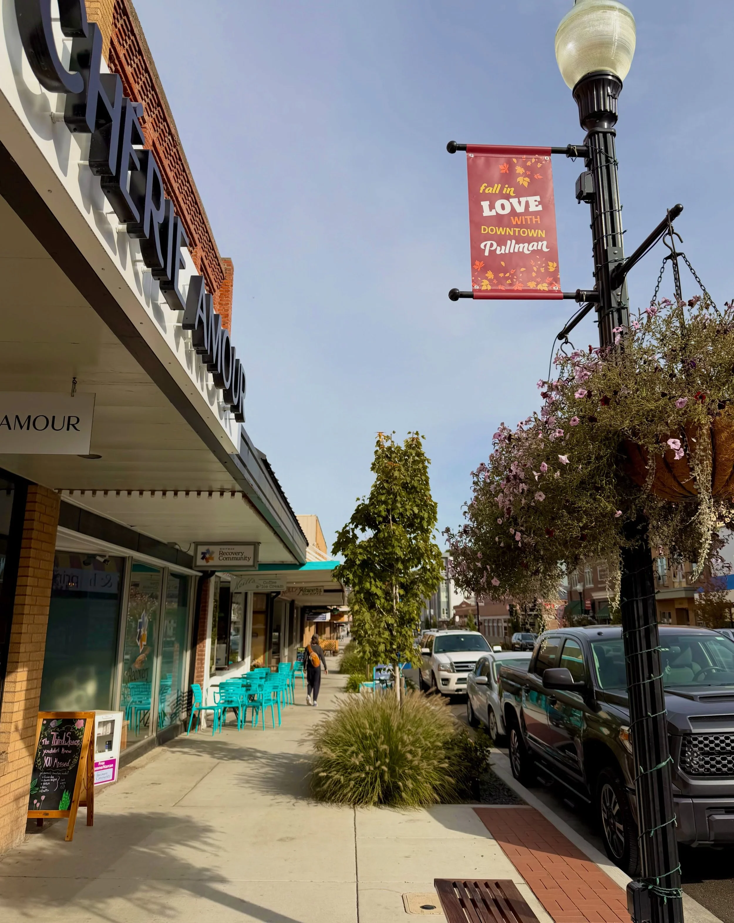 Fall in love with Downtown Pullman!🧡
Have you seen the new seasonal banners along Main Street? 👀🍁

A big thank you to @cityofpullman for installing these beautiful banners and helping bring a little extra fall charm to downtown! 🍂

💡Did you know