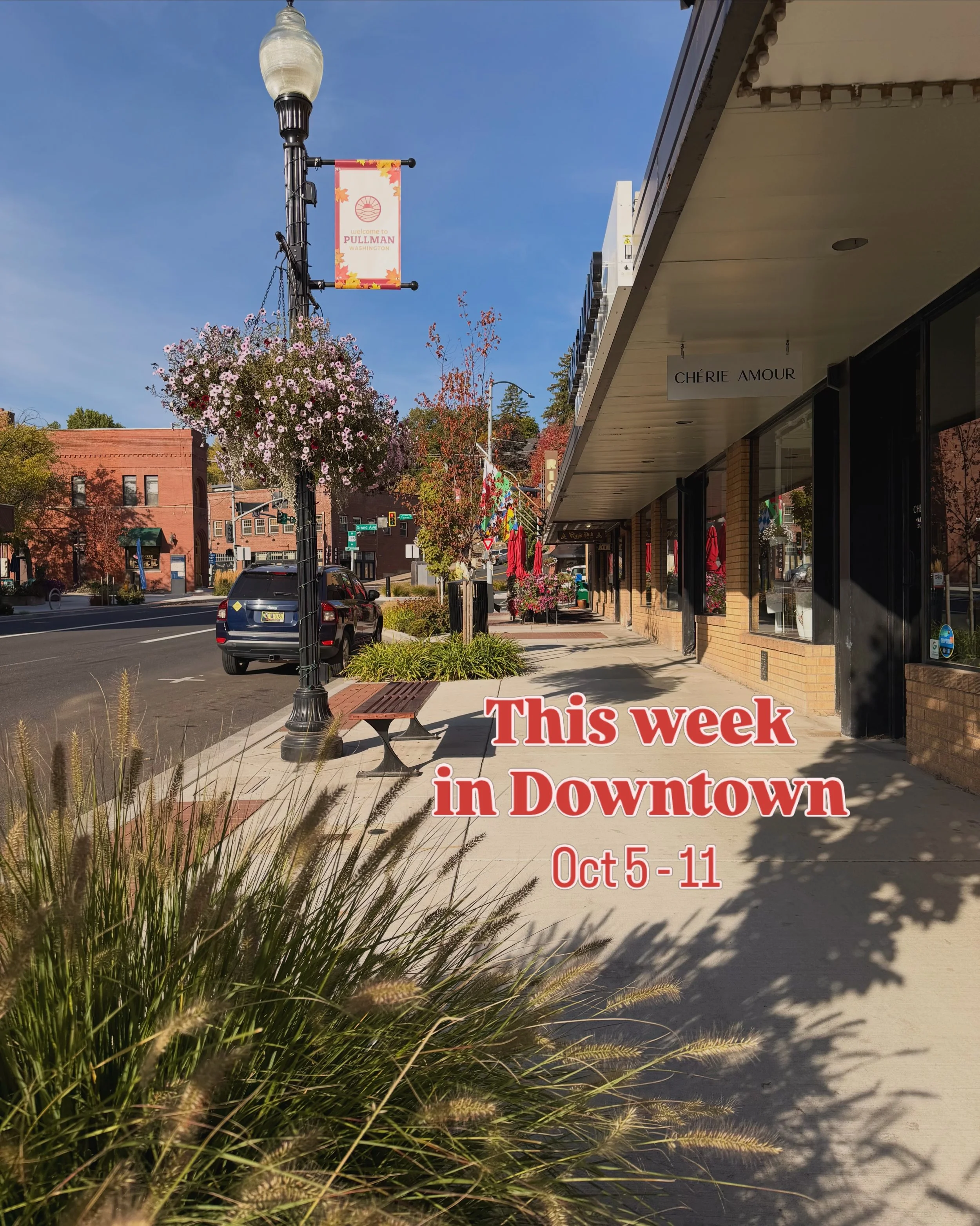 📣 This Week in Downtown!

Fall in love with Downtown Pullman! &hearts;️🍂
Discover some great fall specials, shop local for all things fall and Halloween, and enjoy the season downtown! 🎃

MON, OCT 5
&bull; Open Mic @ricospub1909 | 7pm

TUE, OCT 6
