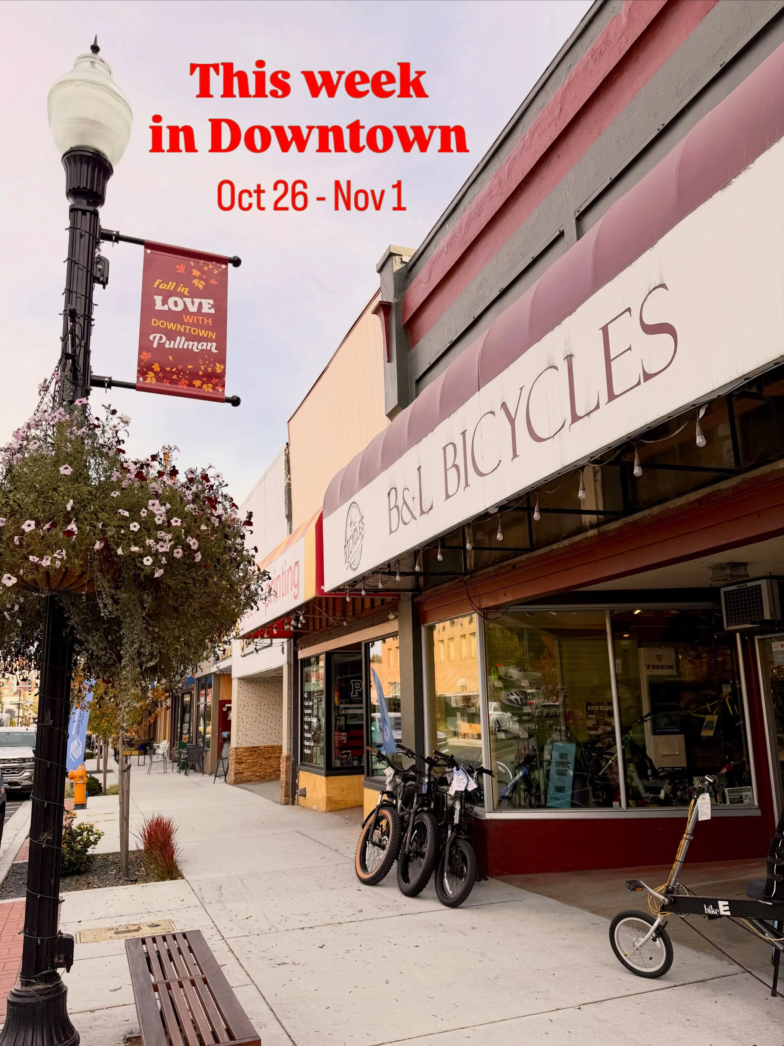 📣 This Week in Downtown!

Downtown updates:
🍬👻 Join us for Downtown Trick-or-Treat this Saturday, October 31, from 3&ndash;6 PM!
🎃 Carve a pumpkin at home and add it to the Pumpkin Wall at Pine Street Plaza! 

MON, OCT 26
&bull; Open Mic @ricospu